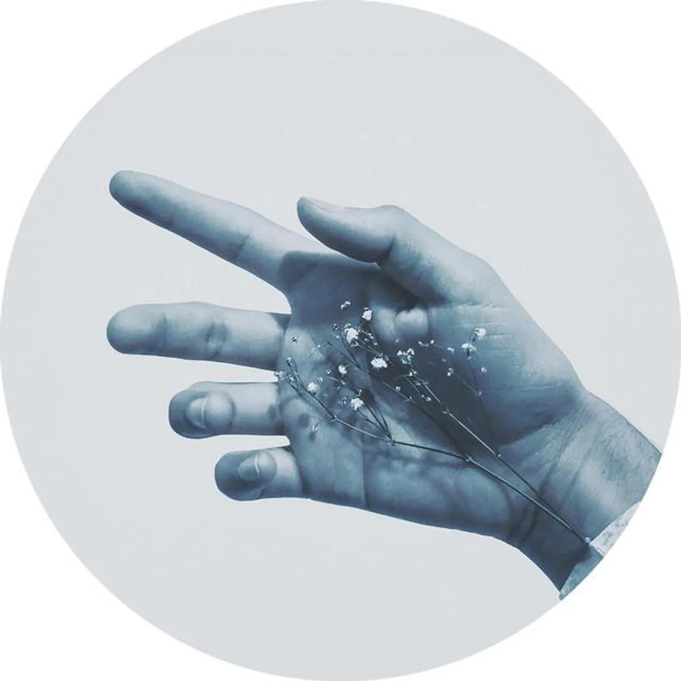 Those Goddamn Hippies