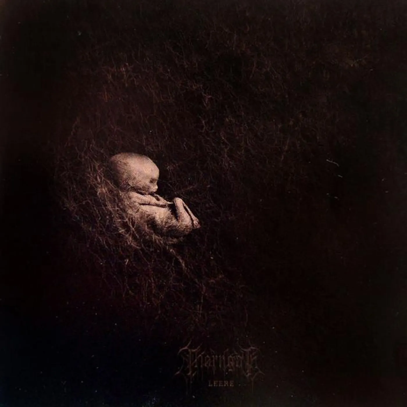 Thorngoth