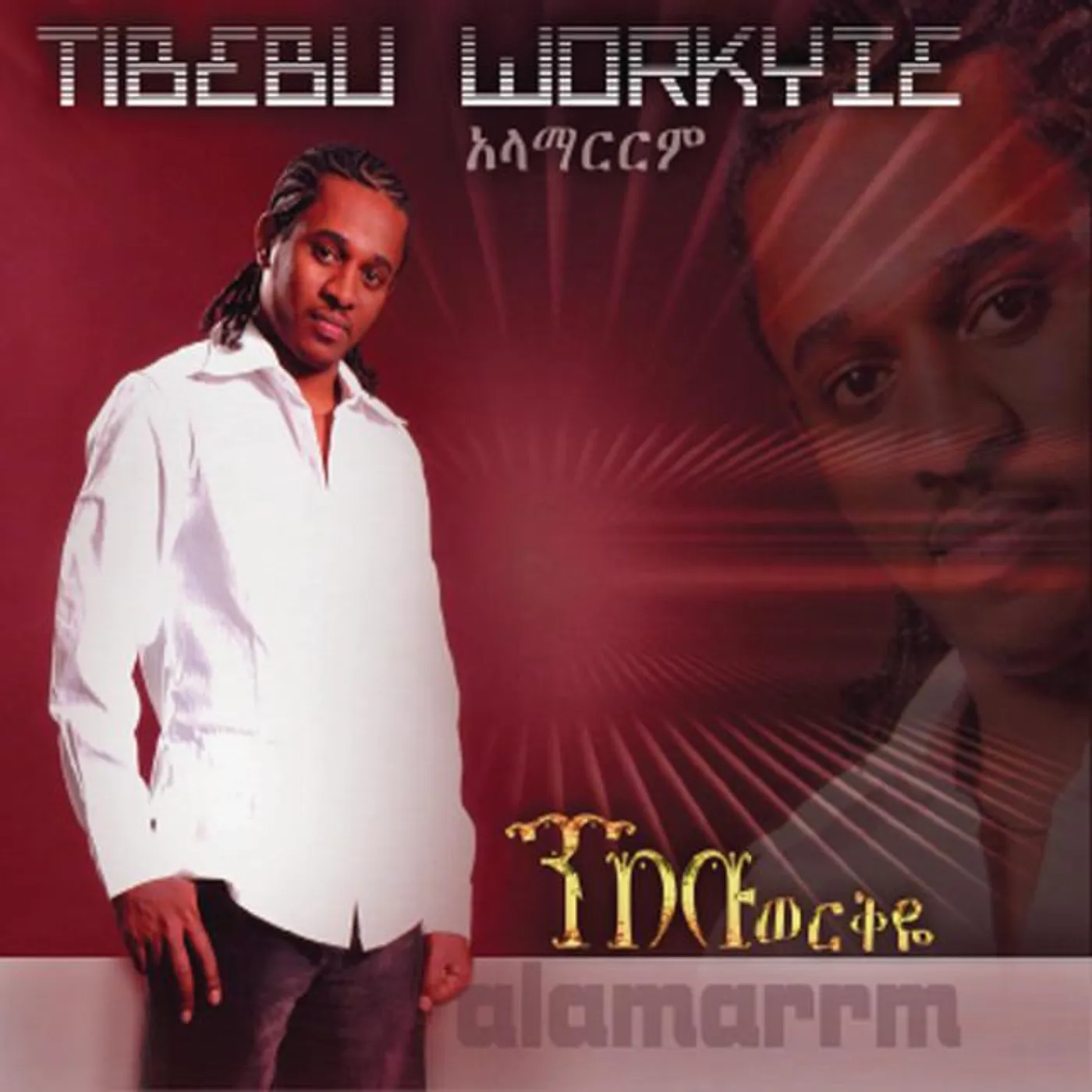 Tibebu Workyie Brand Page