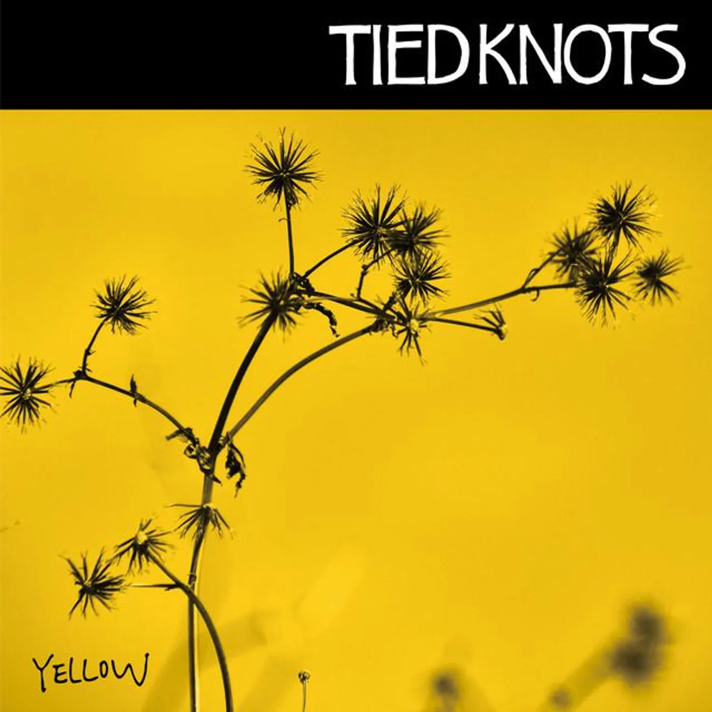 Tied Knots
