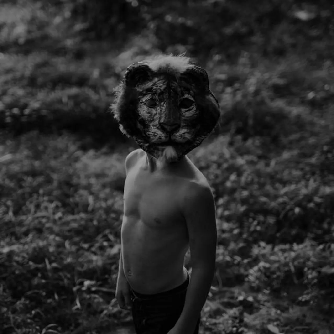 Tigers and Thieves