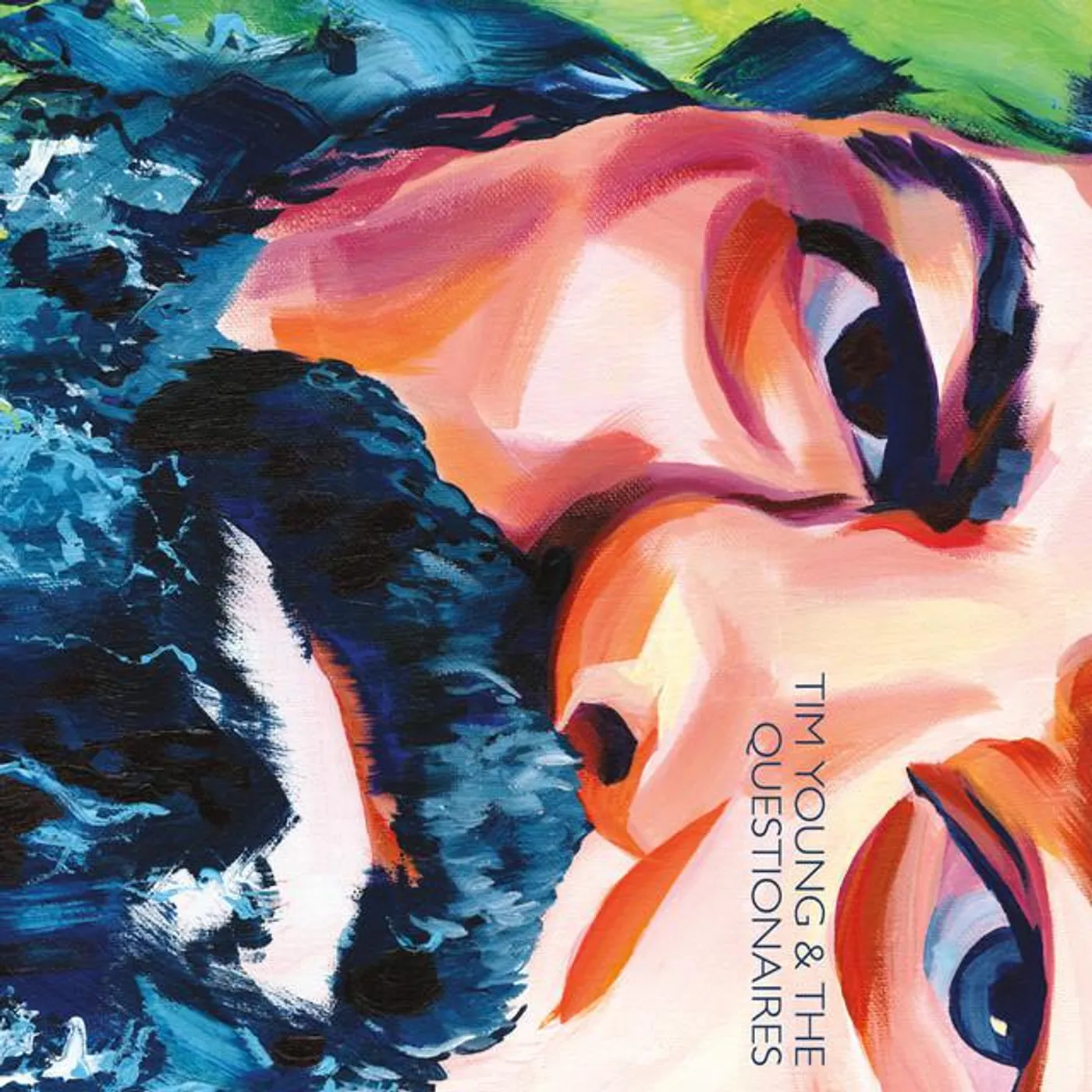 Tim Young & the Questionaires