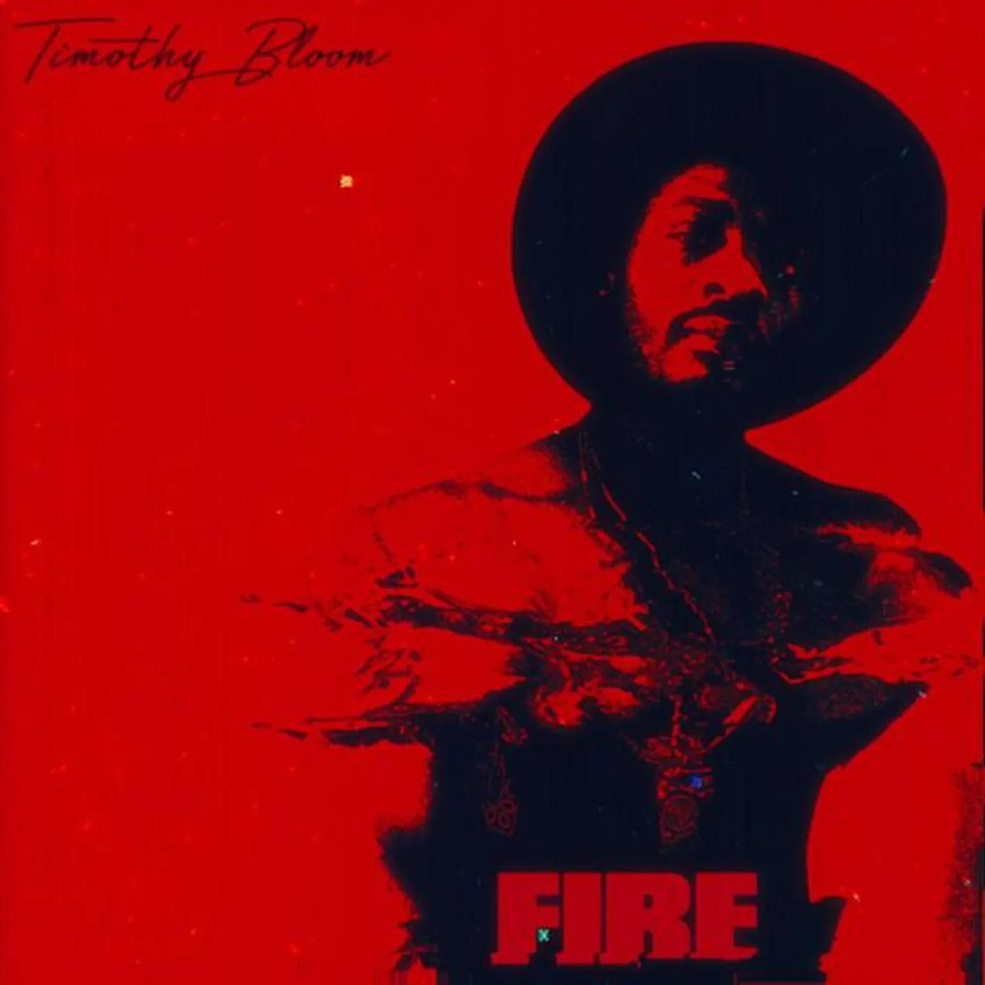 Timothy Bloom