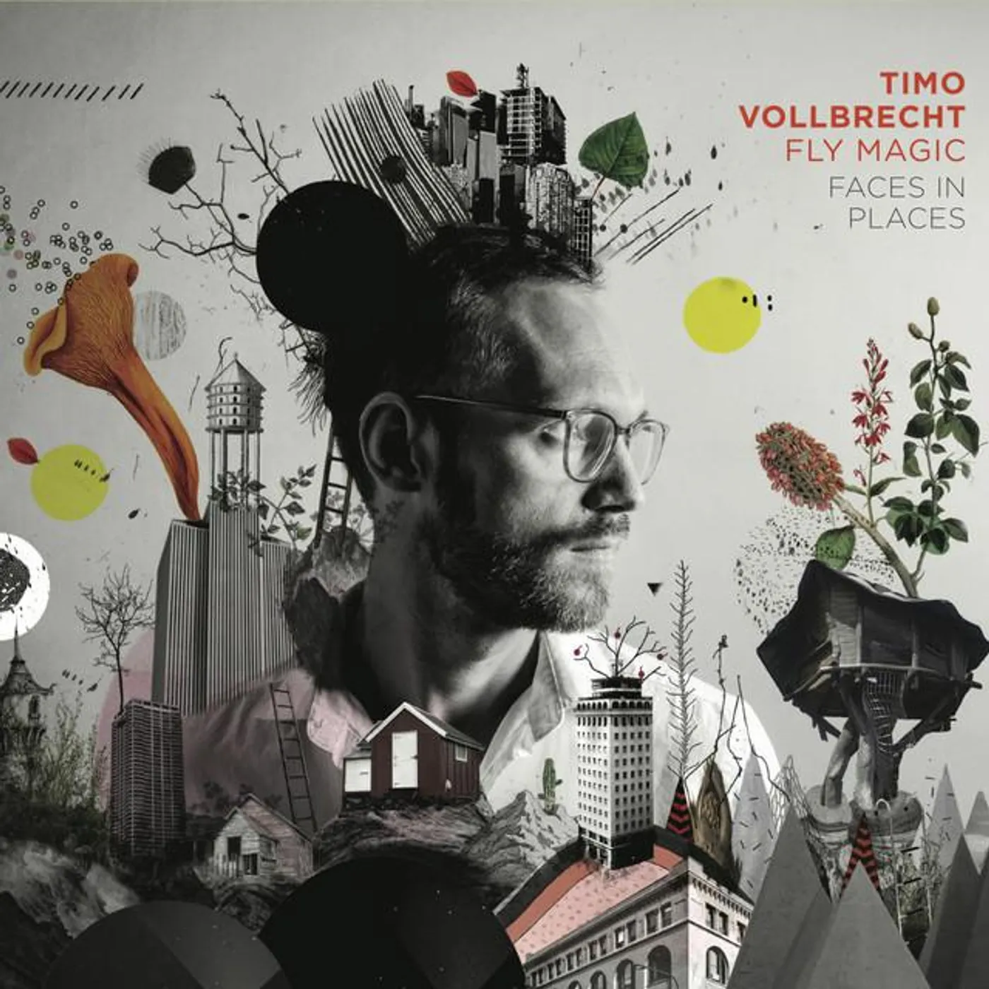 Timo Vollbrecht