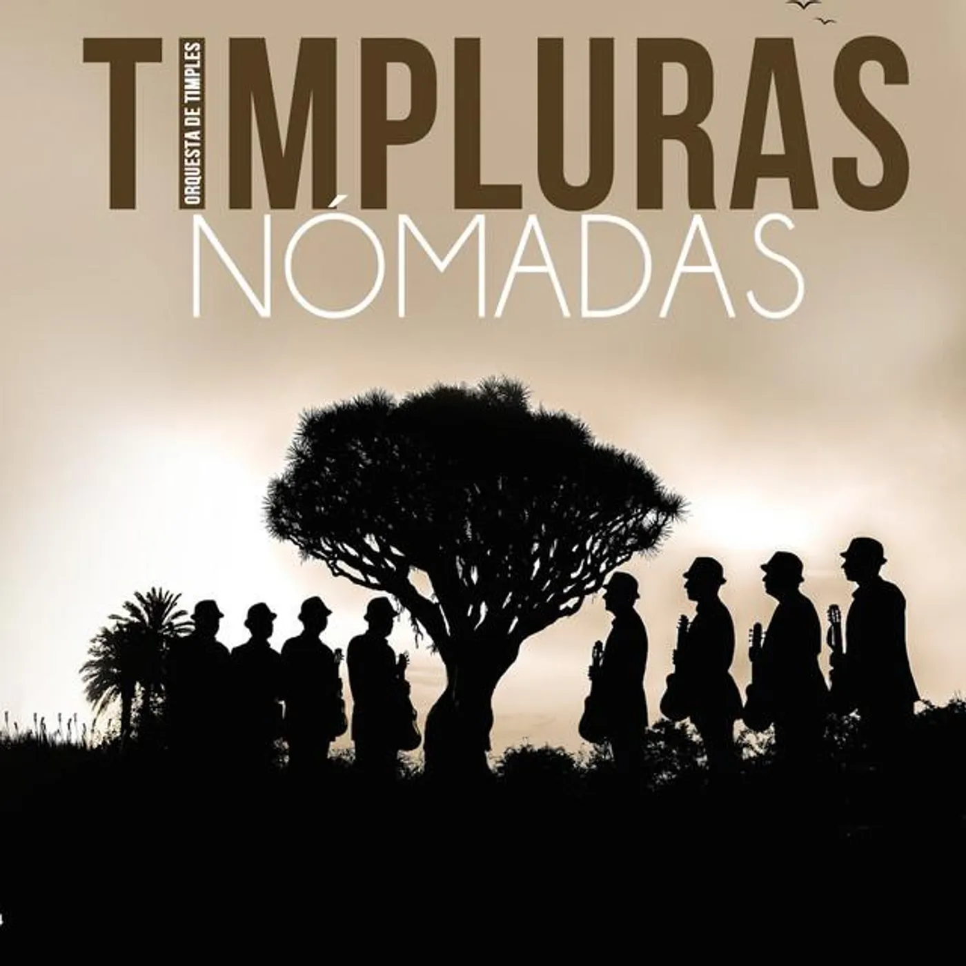 Timpluras
