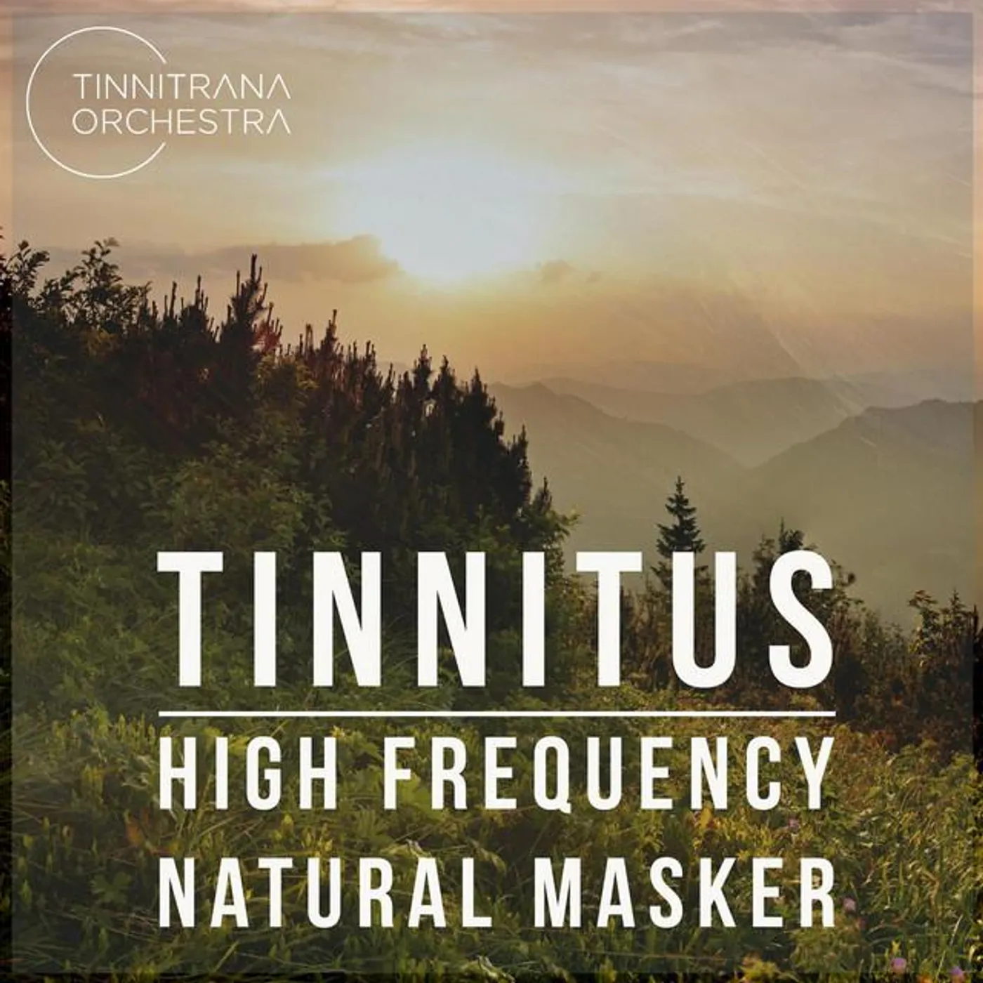 Tinnitrana Orchestra Brand Page