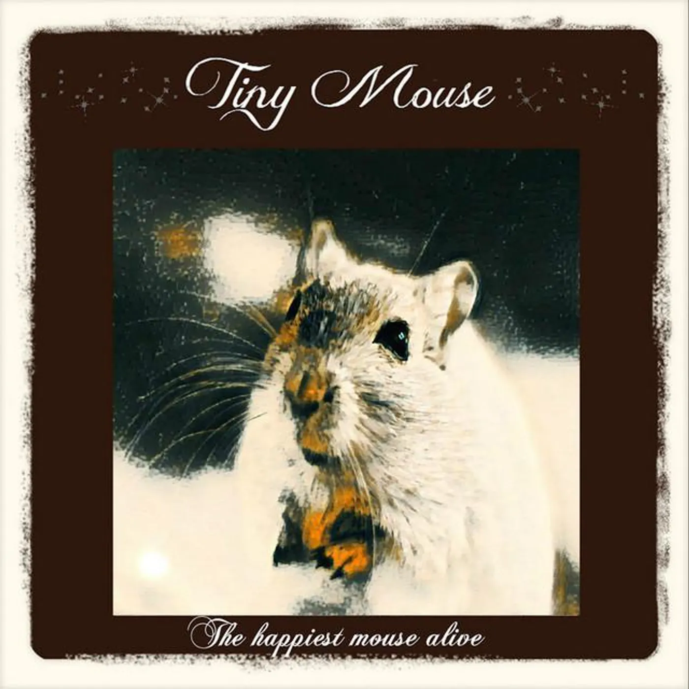 Tiny Mouse