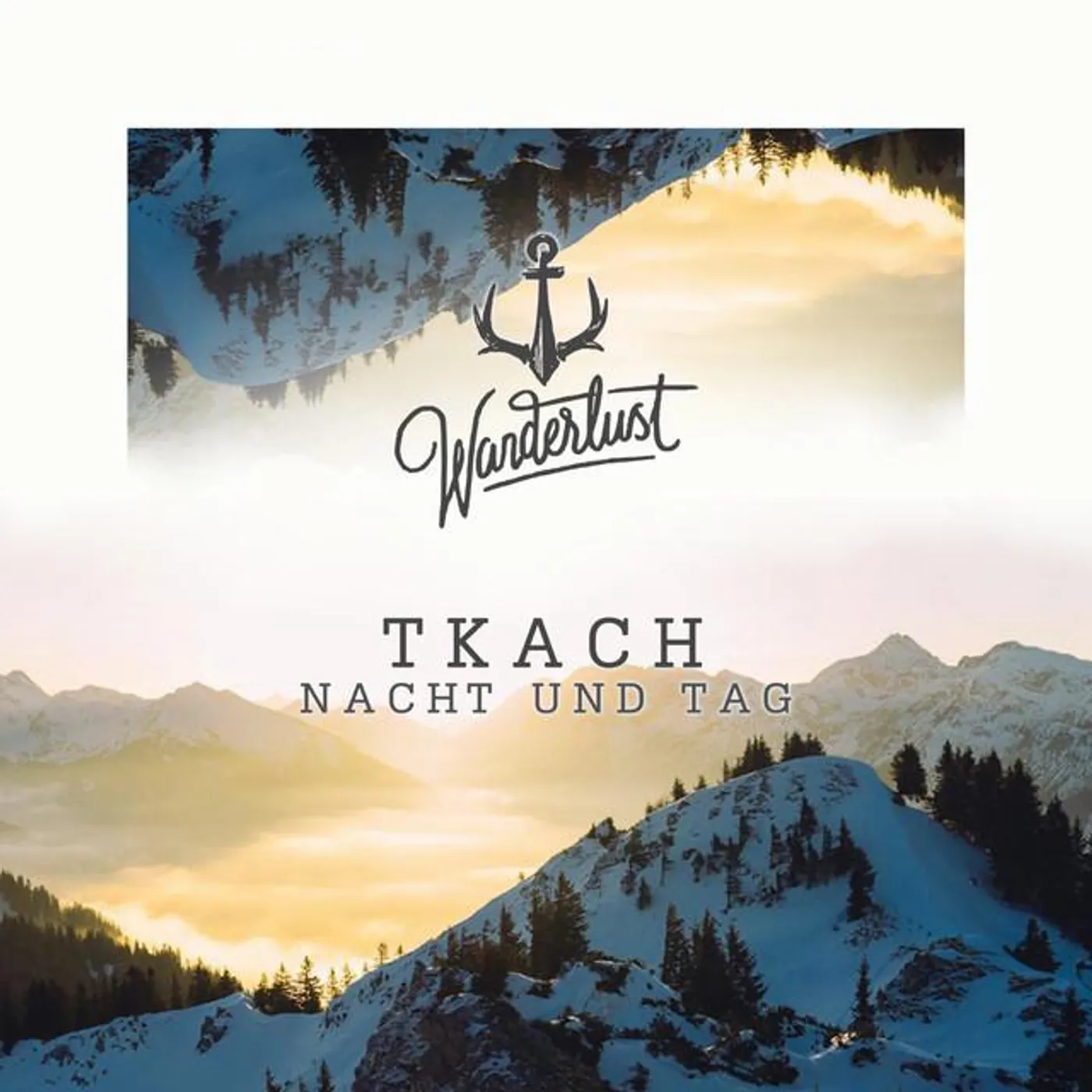 Tkach