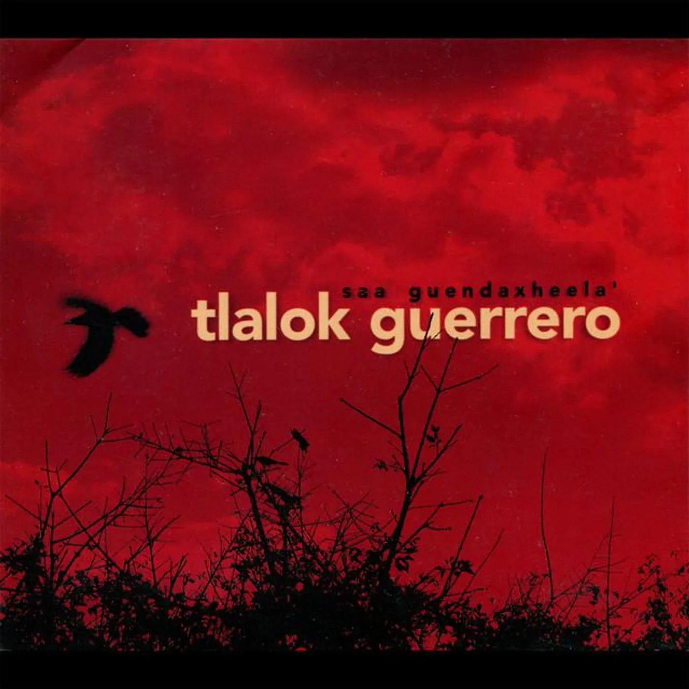 Tlalok Guerrero