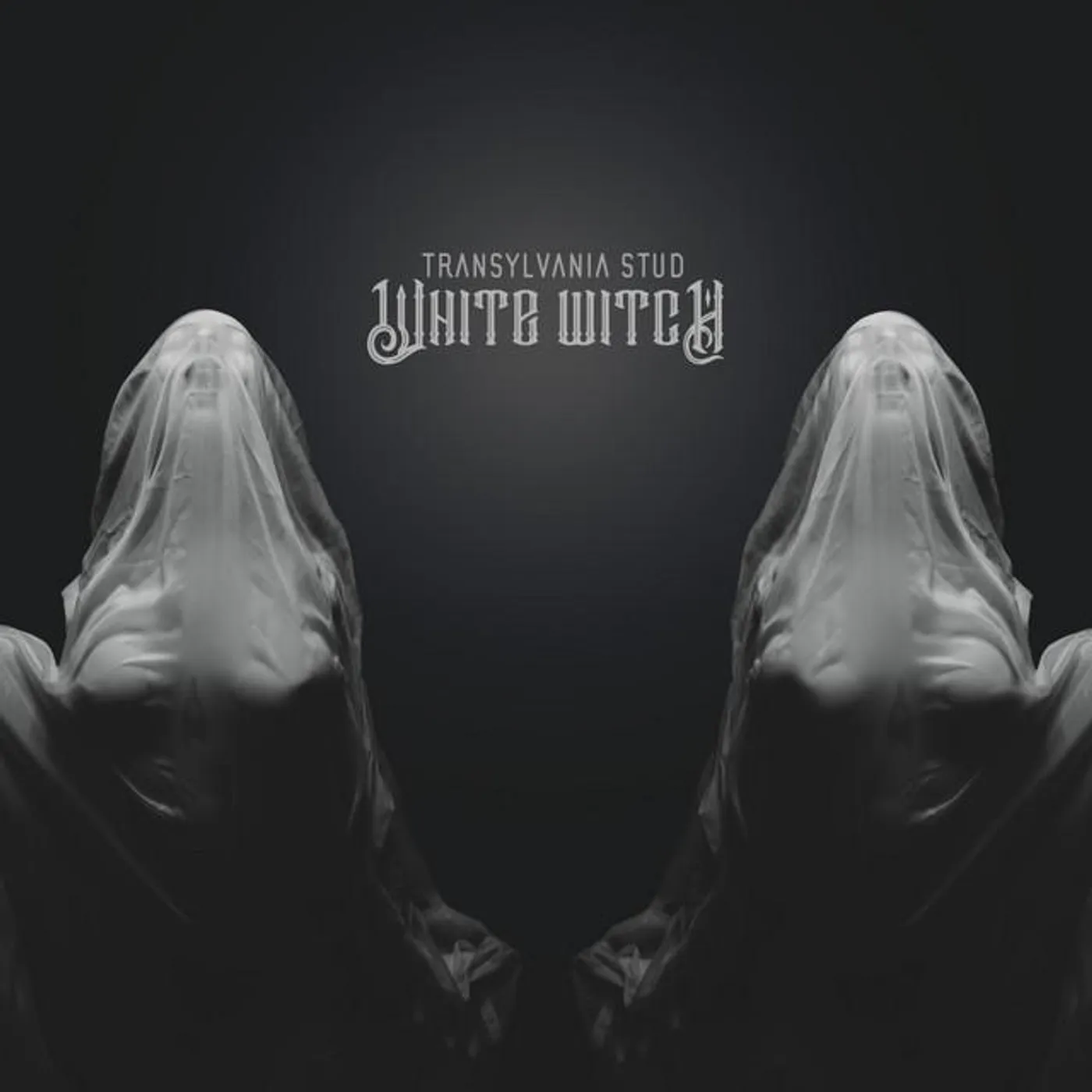 Transylvania Stud Brand Page