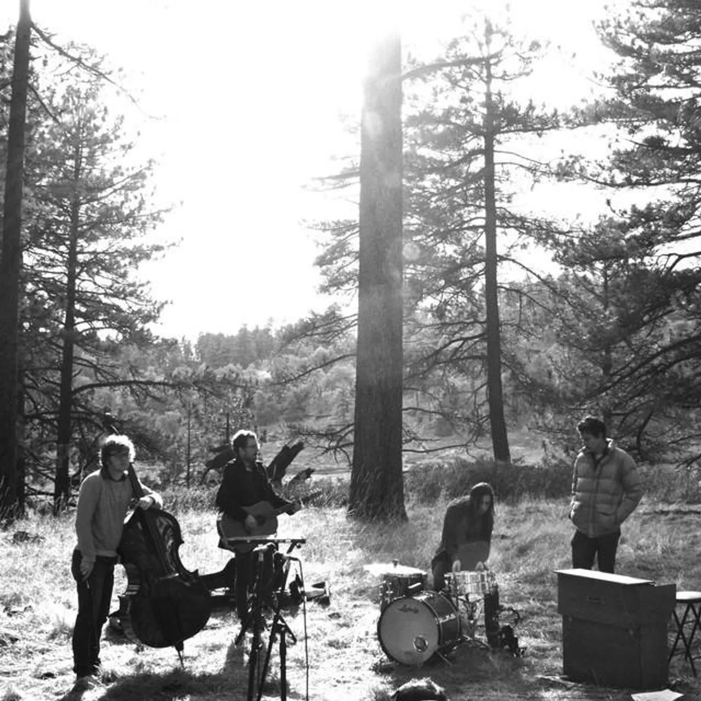 The Tree Ring