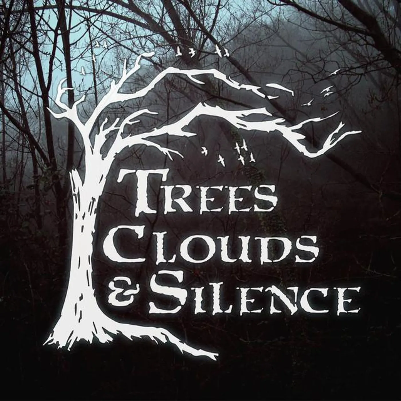 Trees, Clouds & Silence