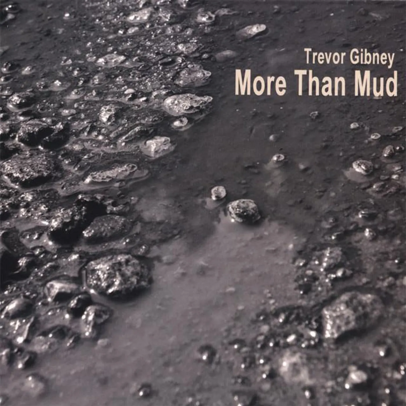 Trevor Gibney
