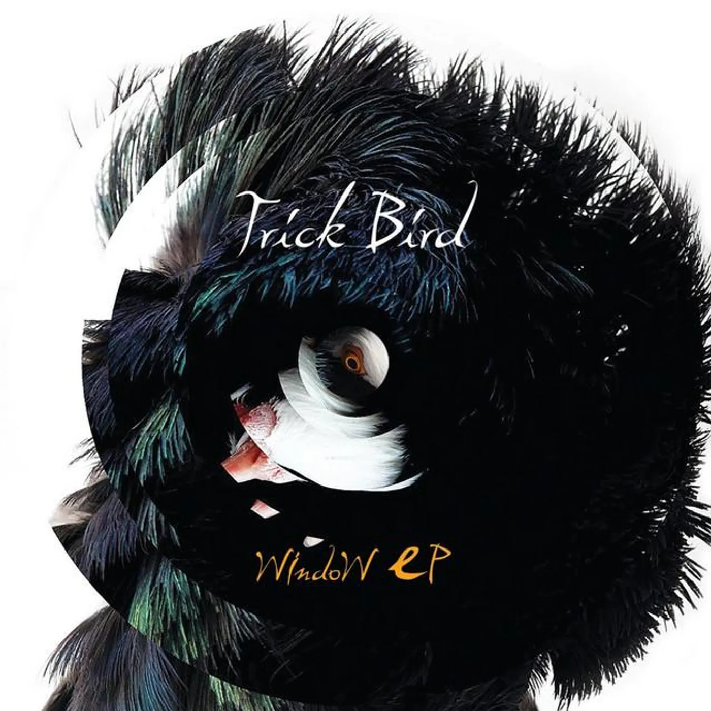Trick Bird