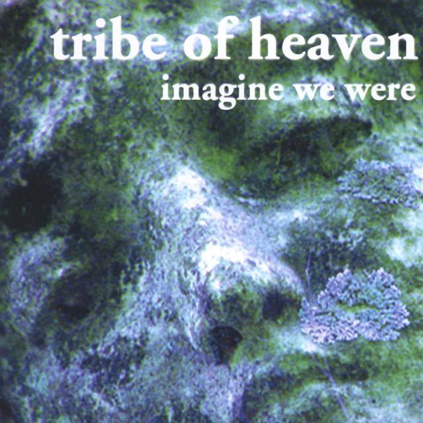 Tribe of Heaven