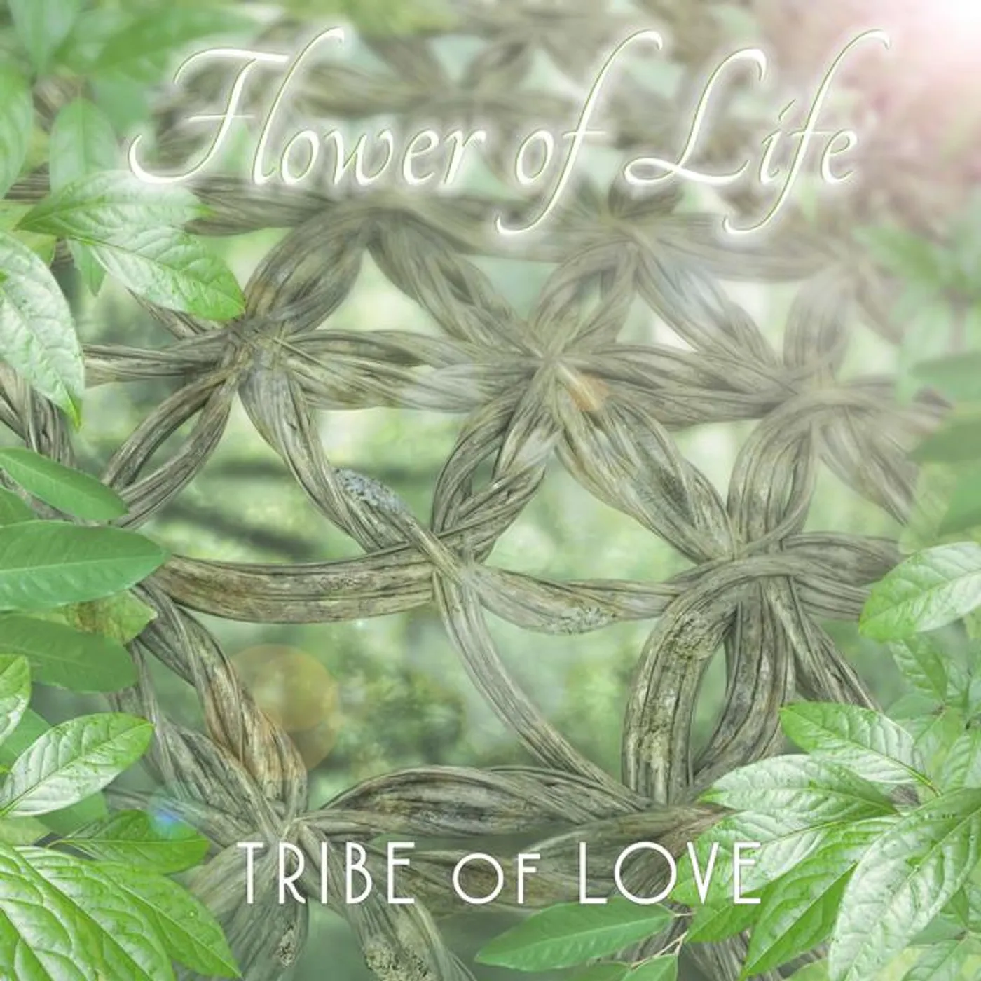 Tribe of Love
