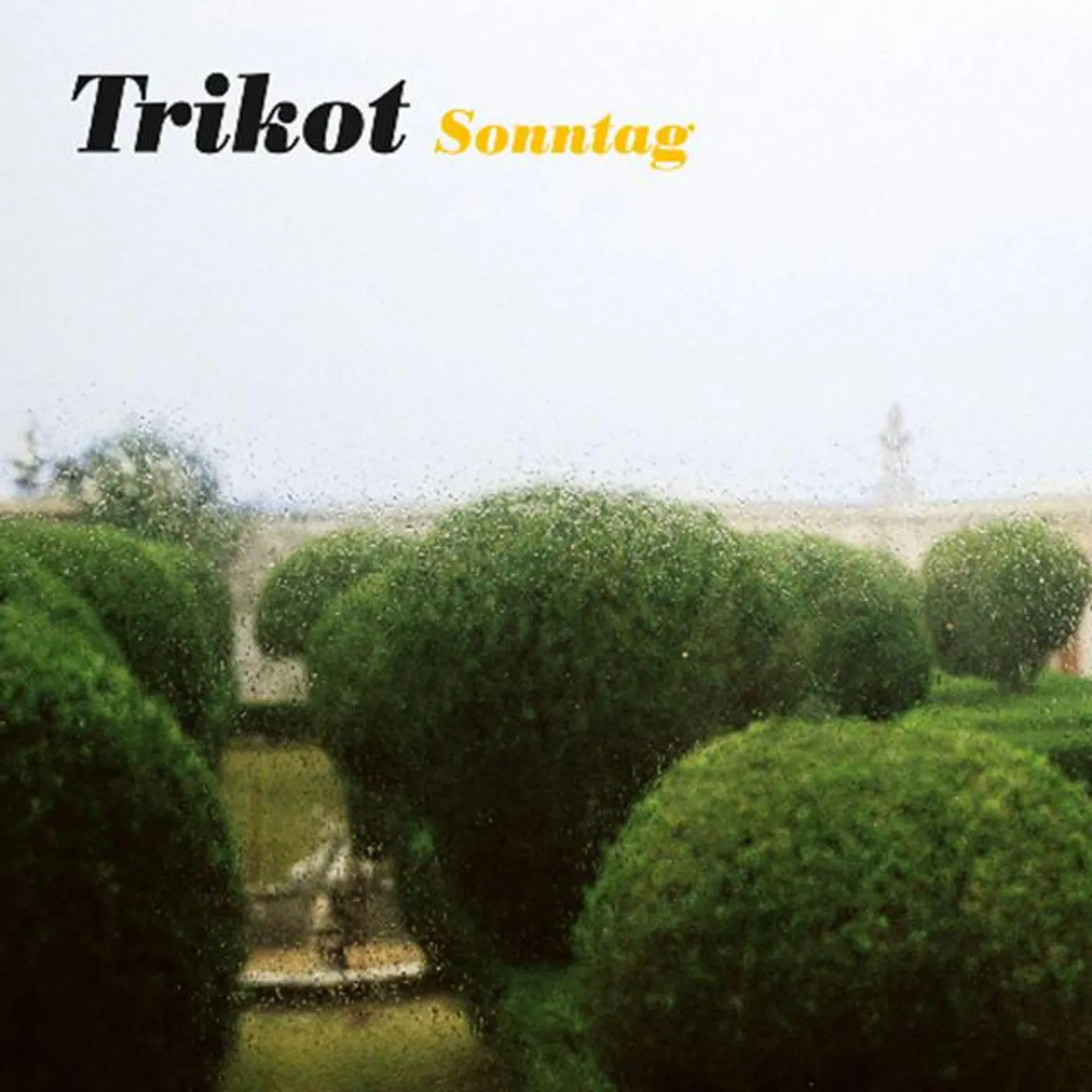 Trikot