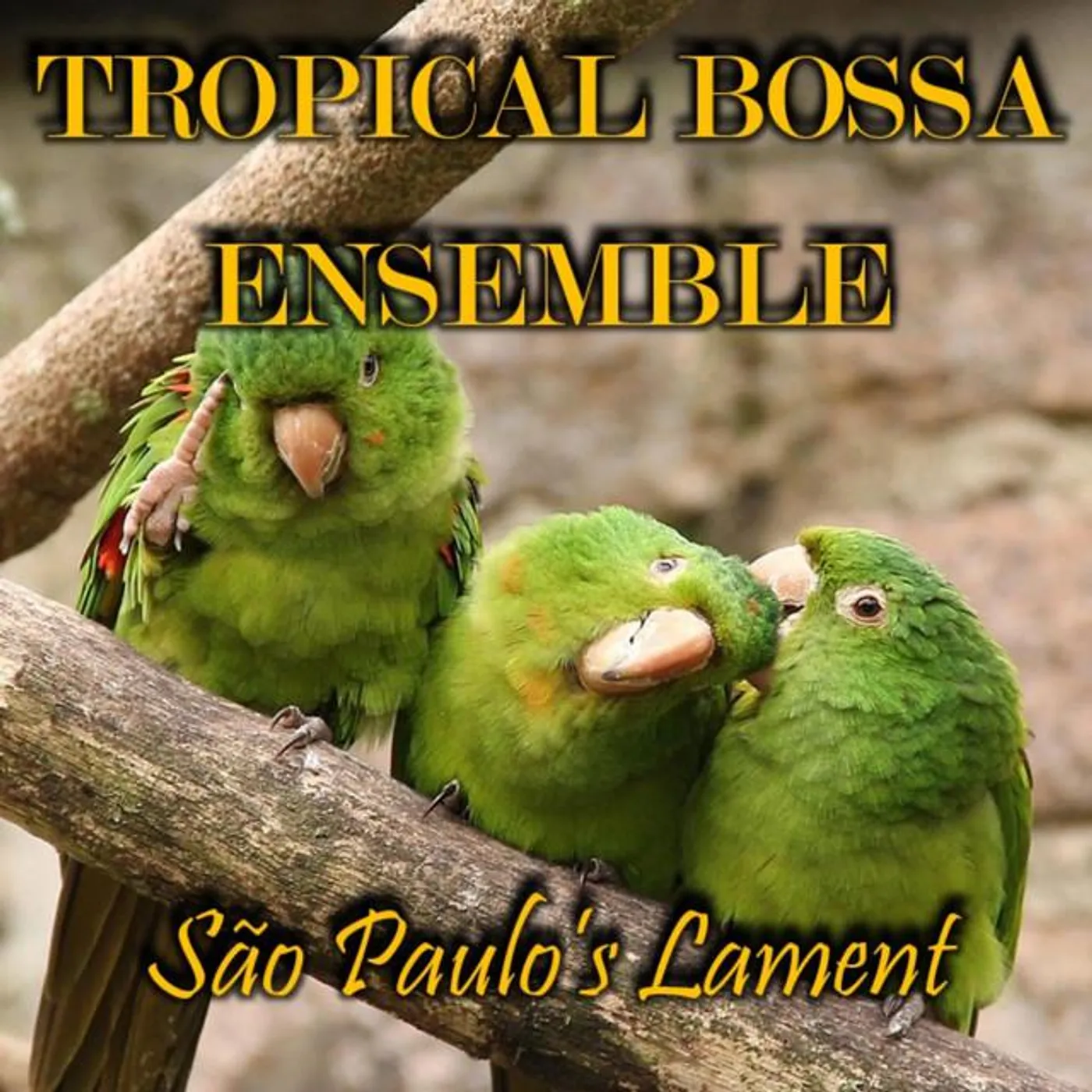Tropical Bossa Ensemble Brand Page
