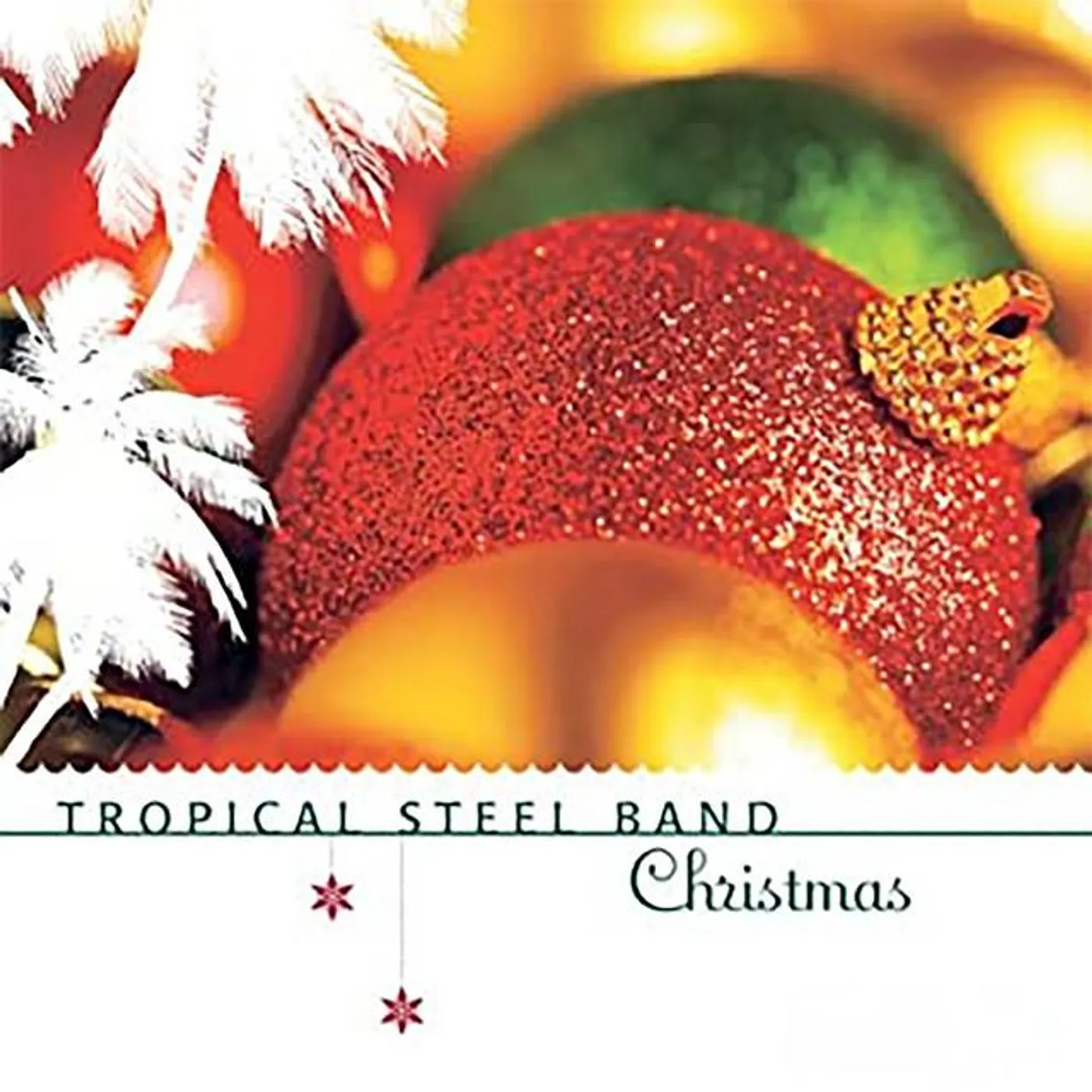 Tropical Steel Band