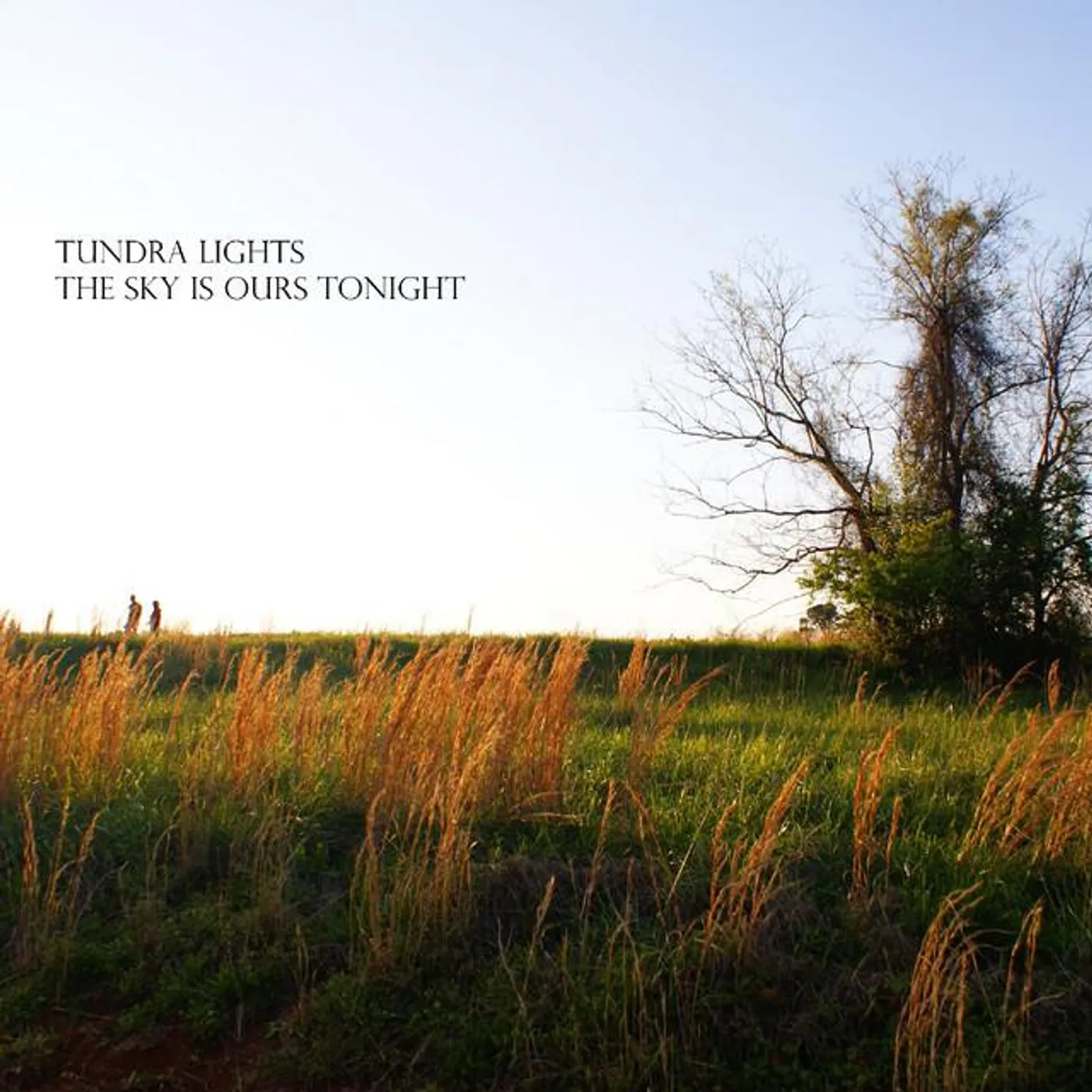 Tundra Lights
