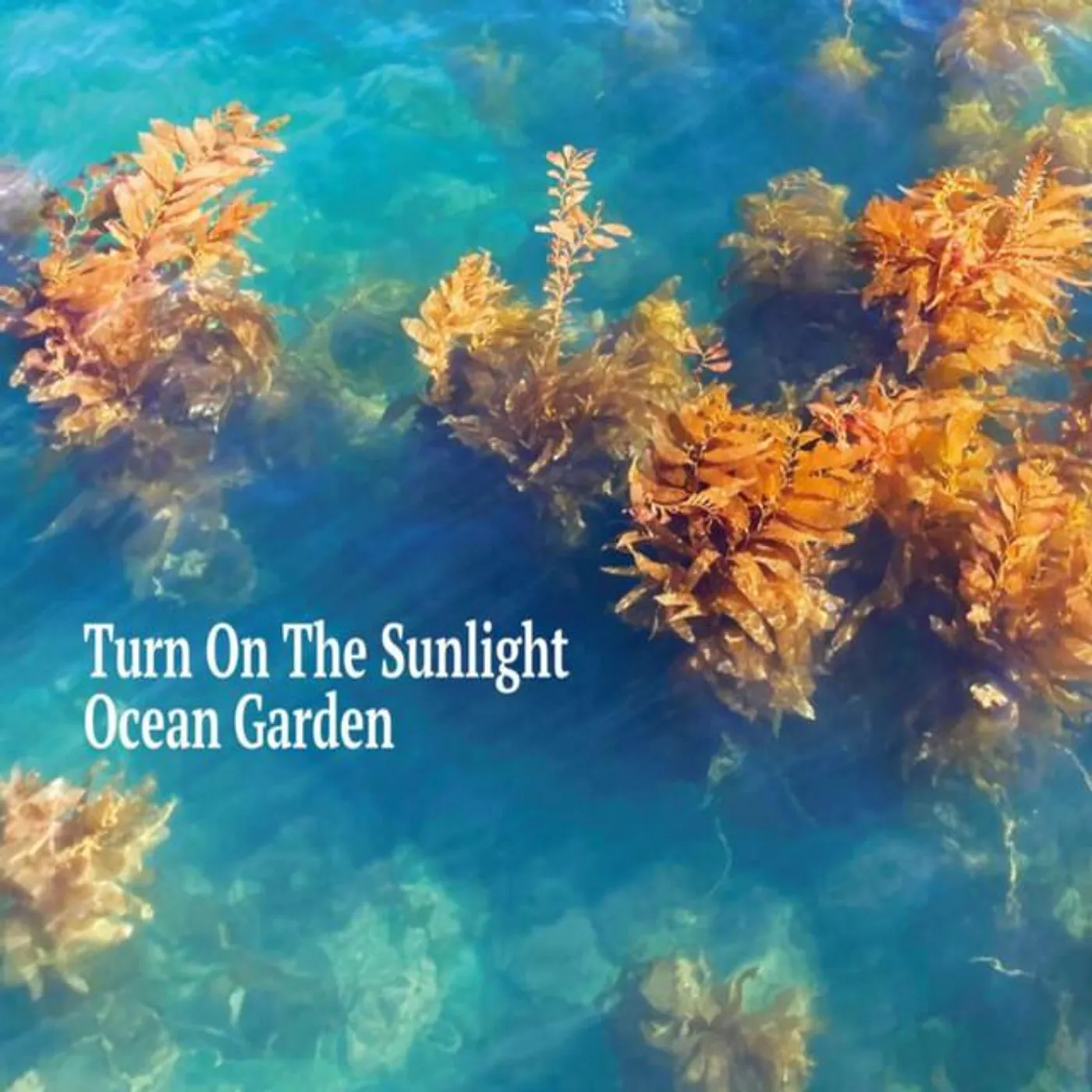 Turn On The Sunlight Brand Page