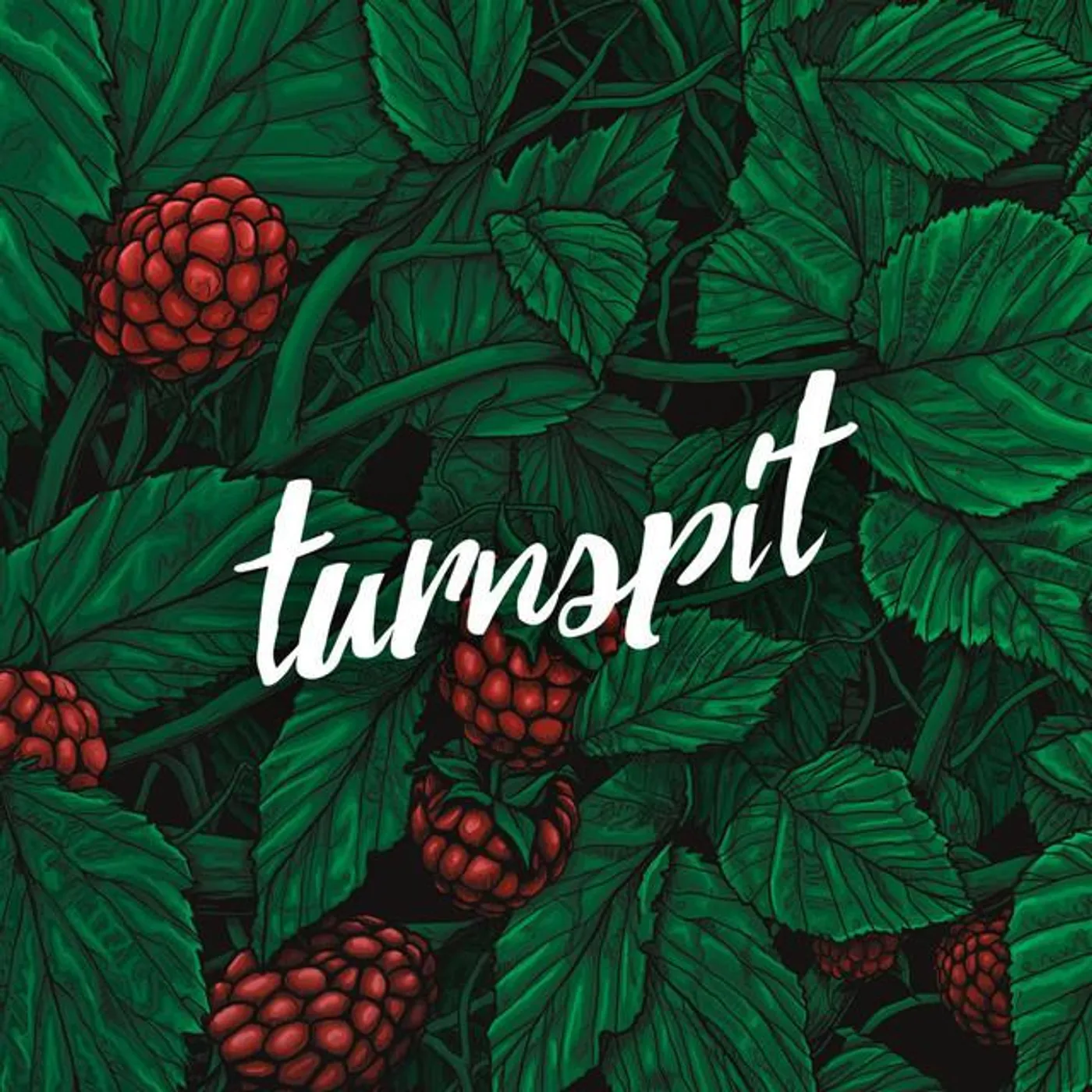 Turnspit