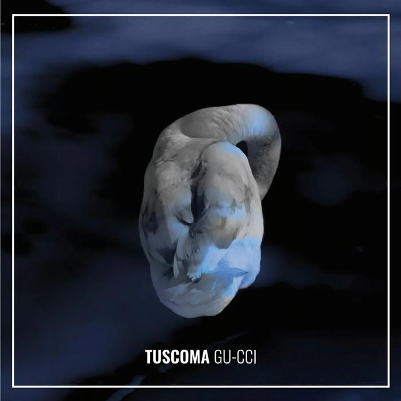 Tuscoma