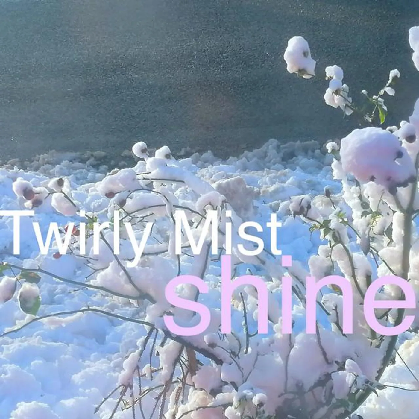 Twirly Mist Brand Page