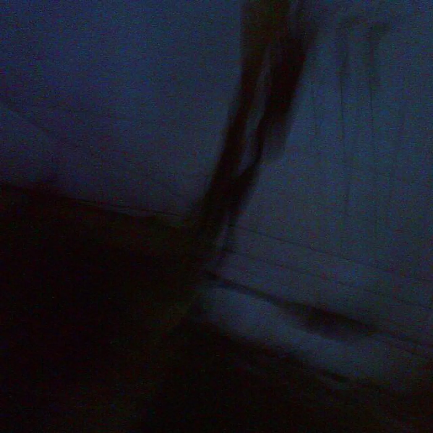 Two People In A Room