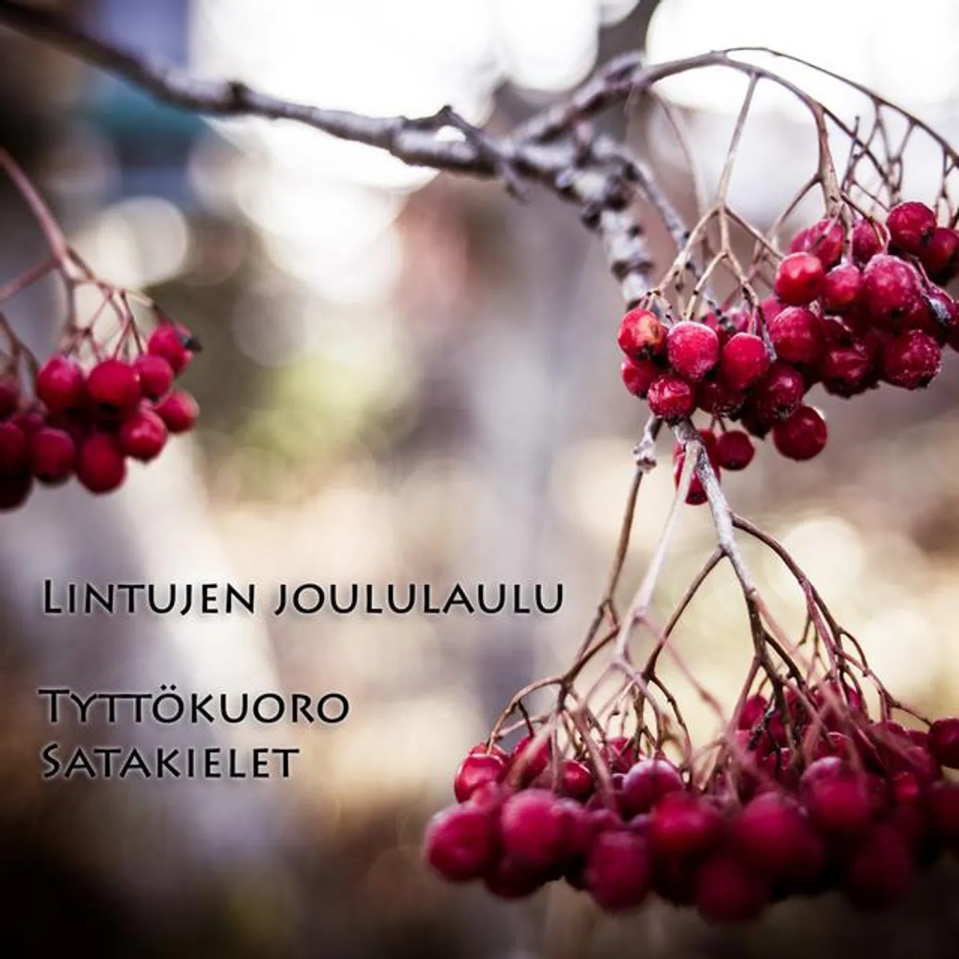 Tyttökuoro Satakielet