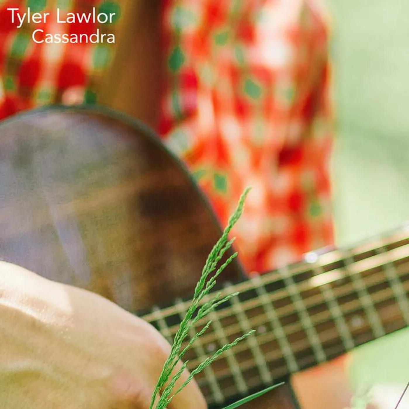 Tyler Lawlor Brand Page