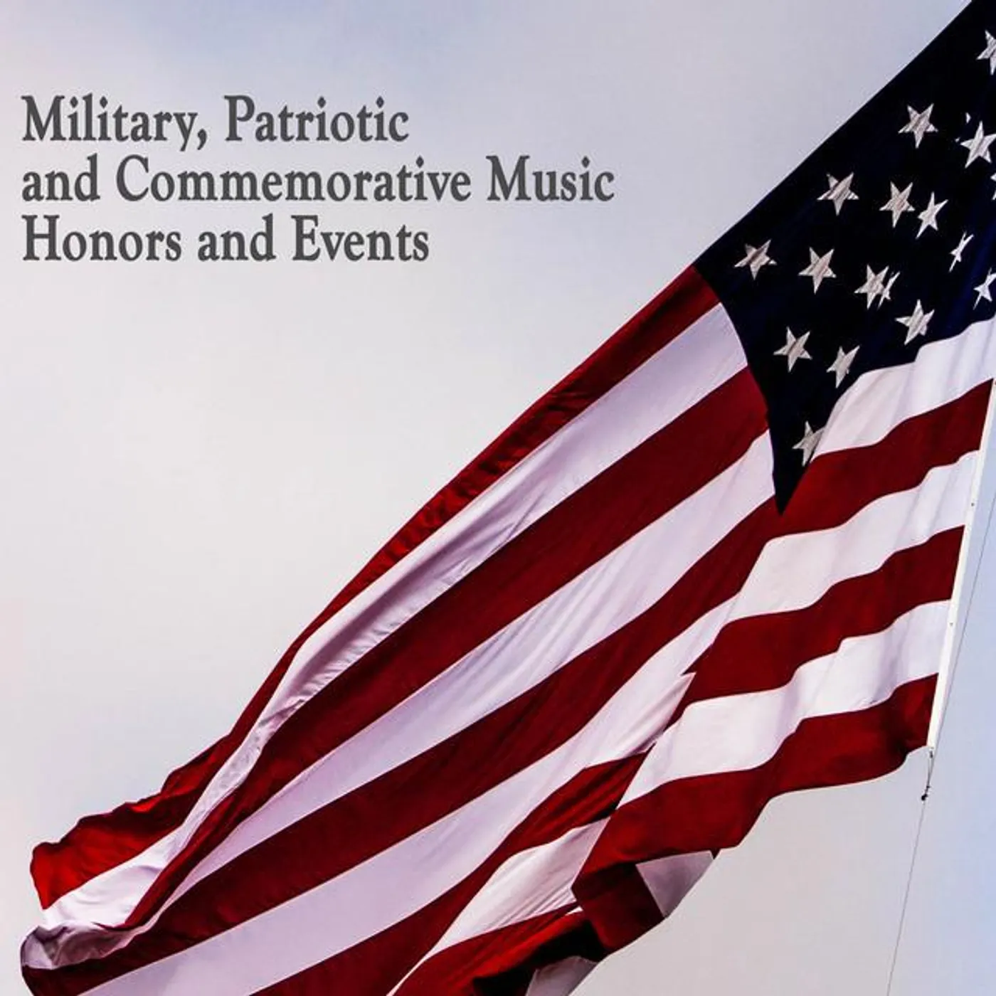 U.S. Navy Band Brand Page
