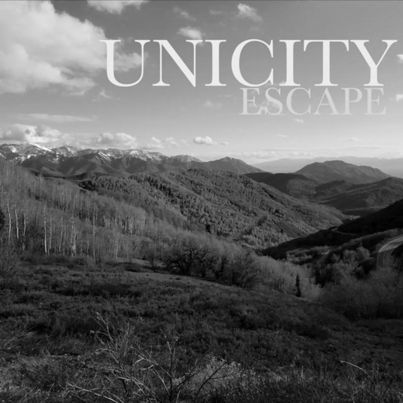 Unicity