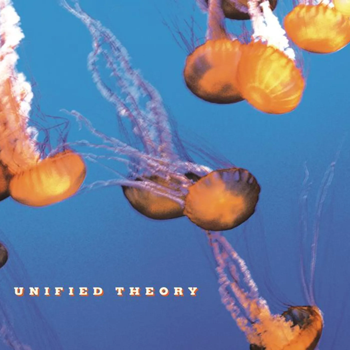 Unified Theory Brand Page