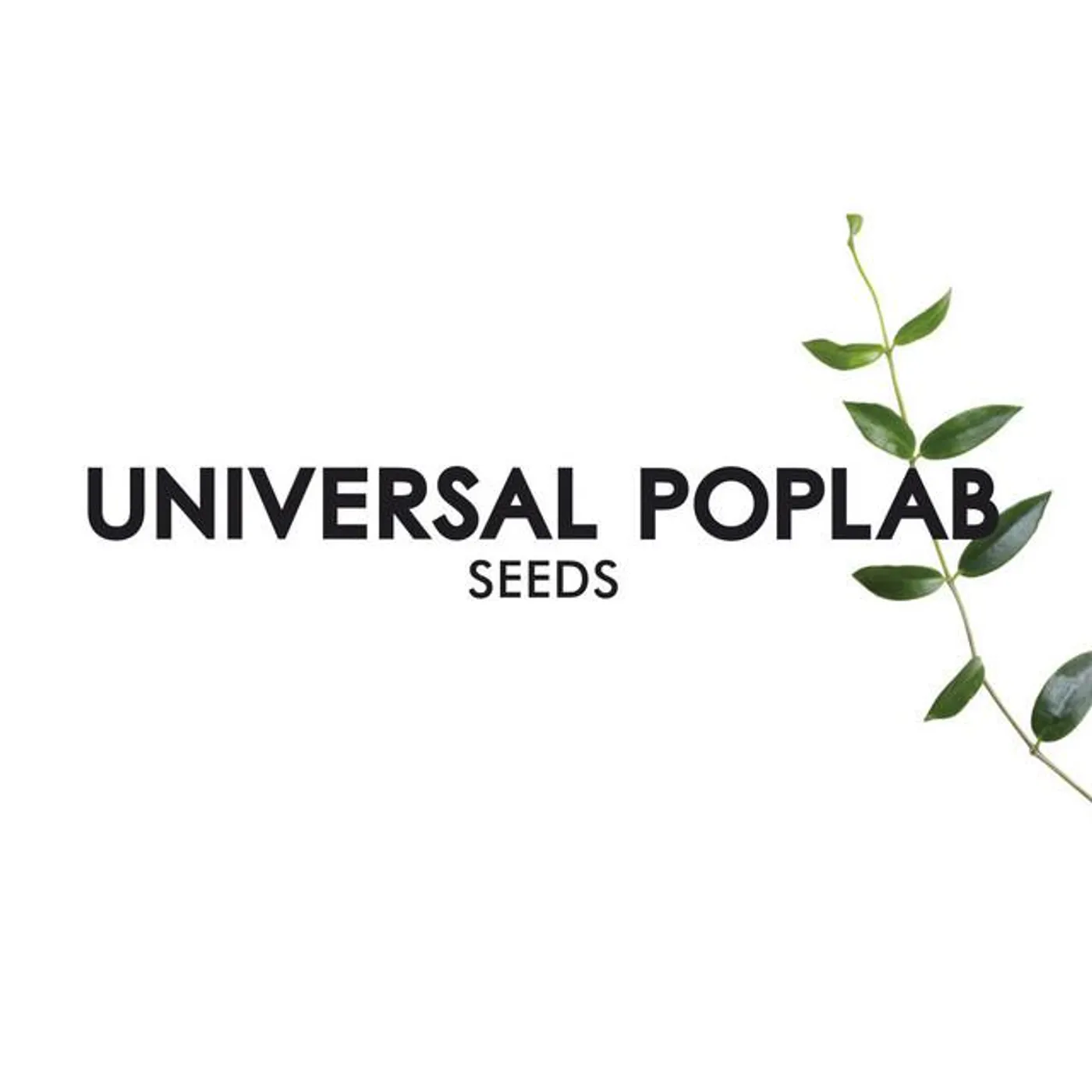 Universal Poplab