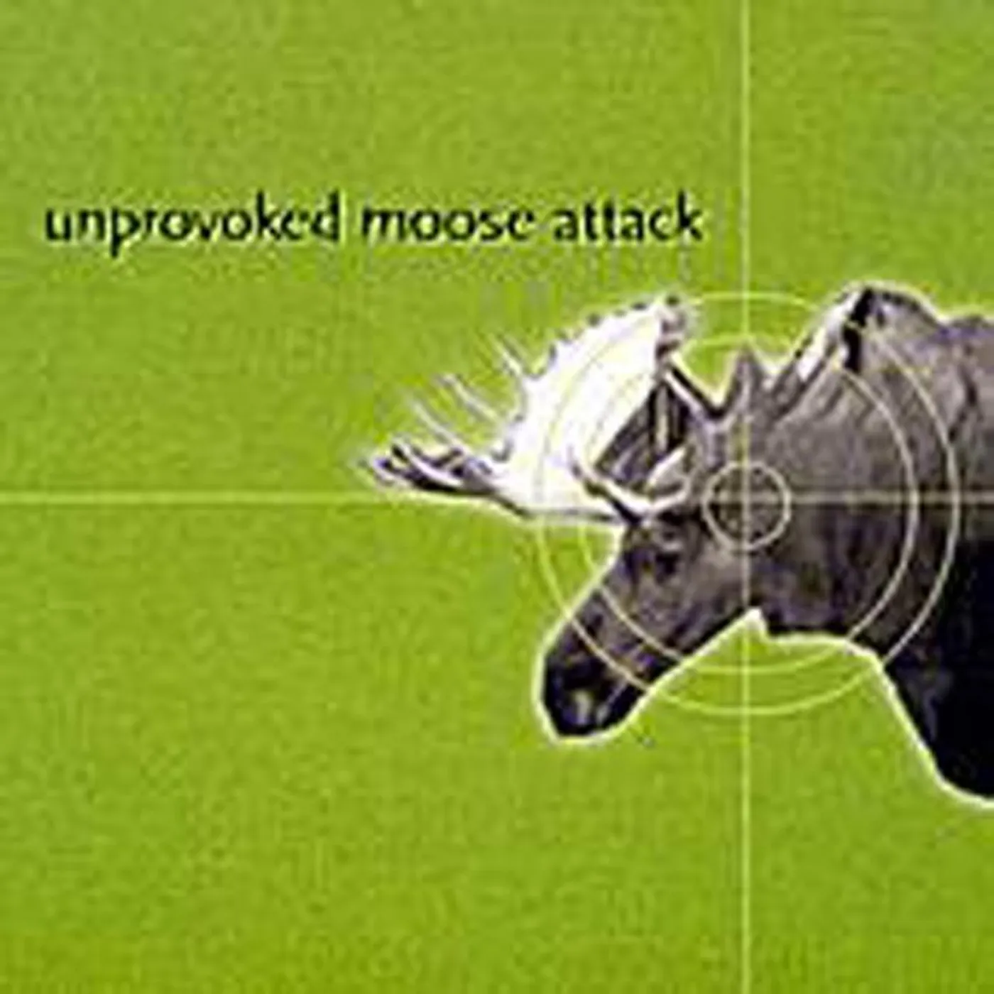 Unprovoked Moose Attack