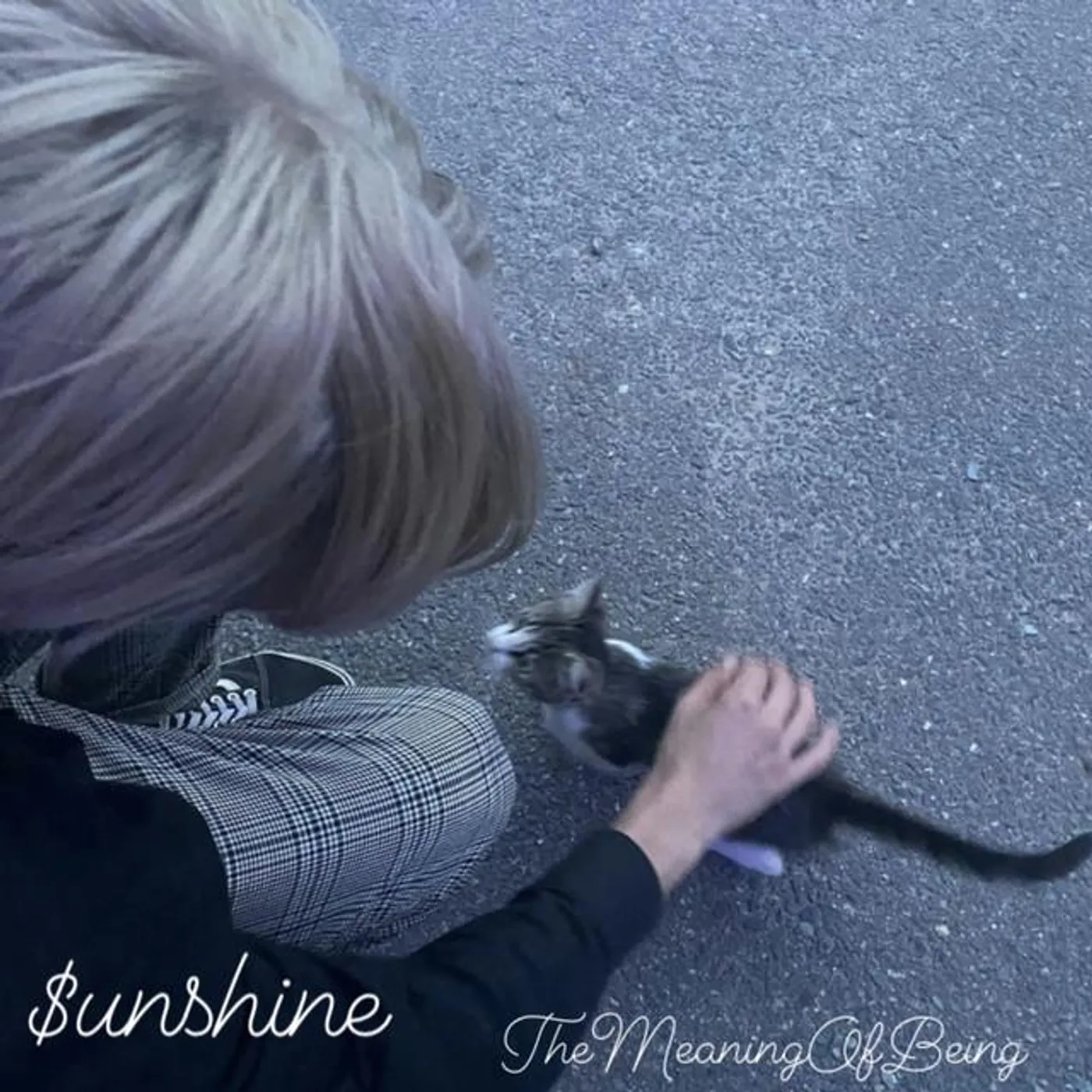$unshine