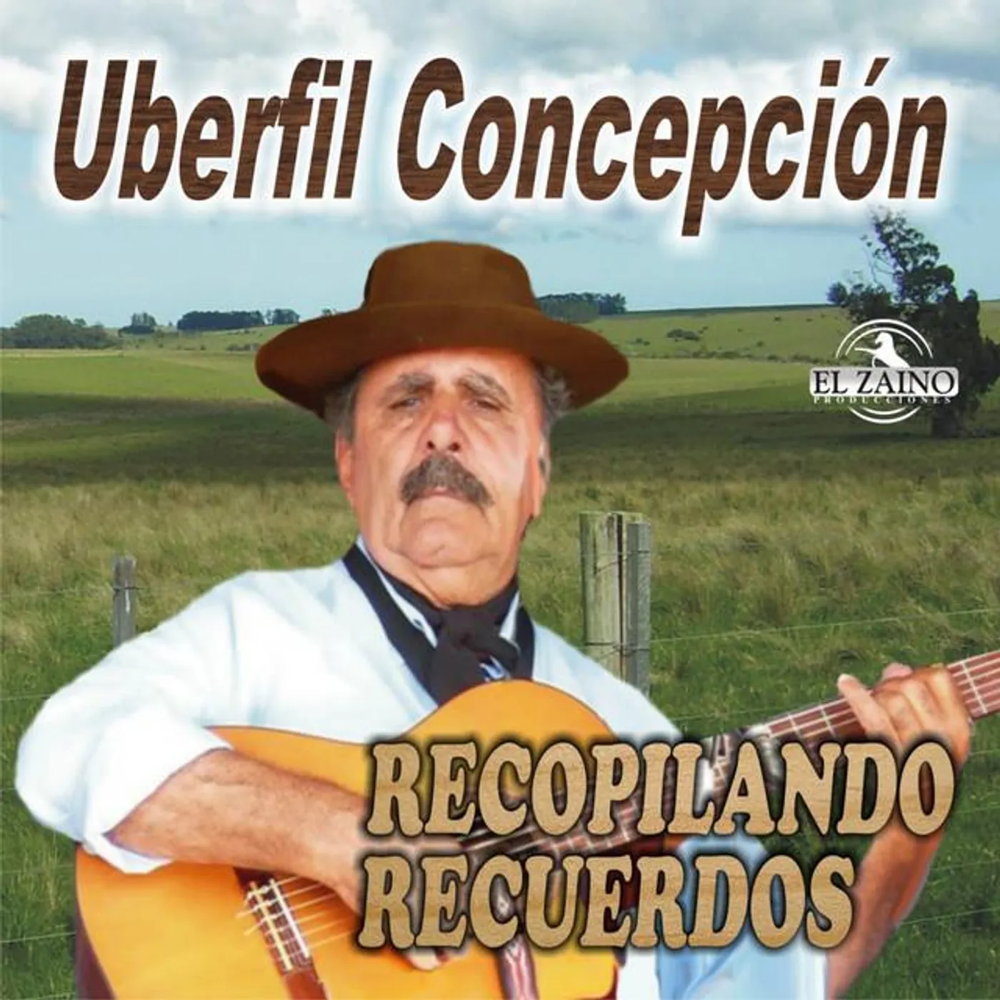 Uberfil Concepción