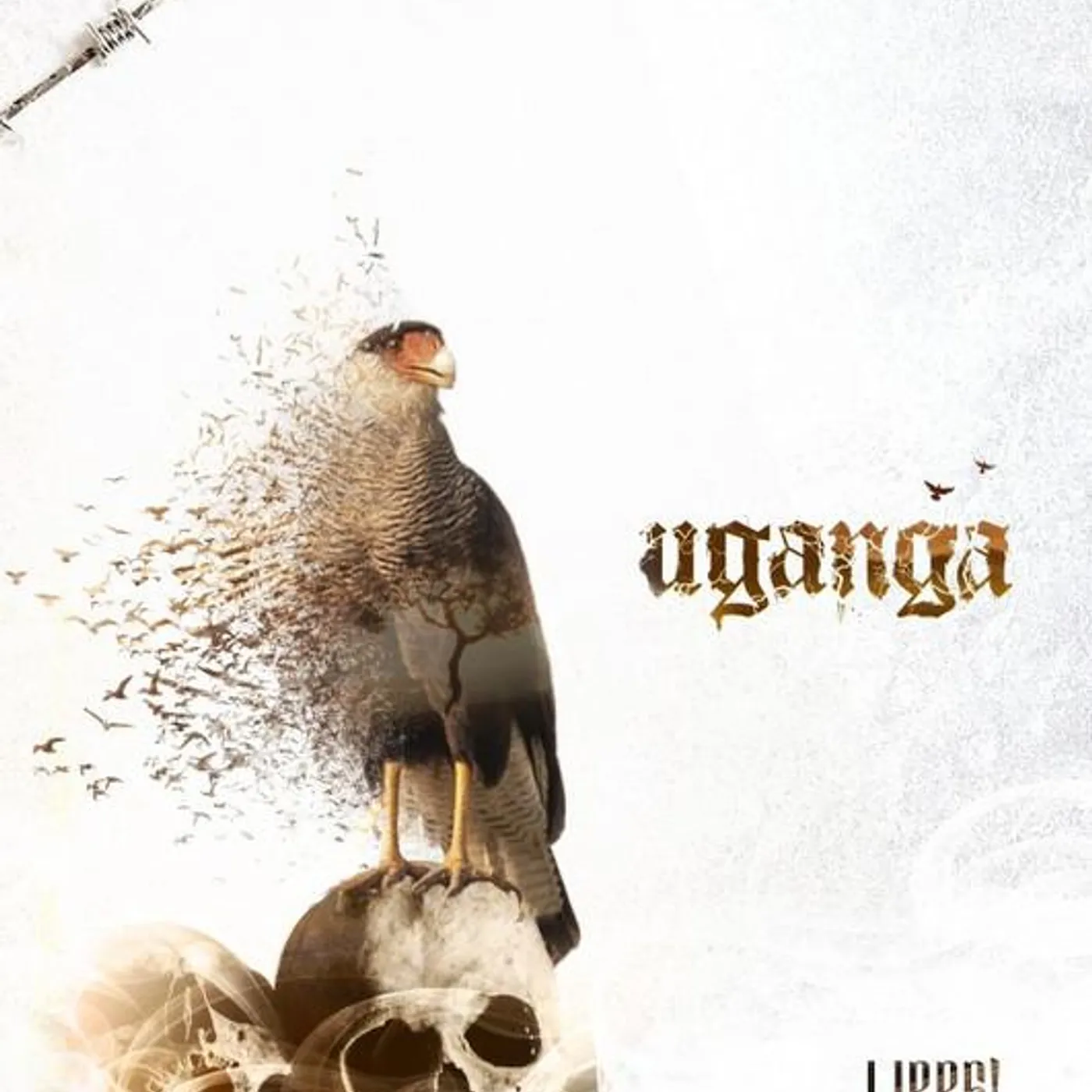 Uganga