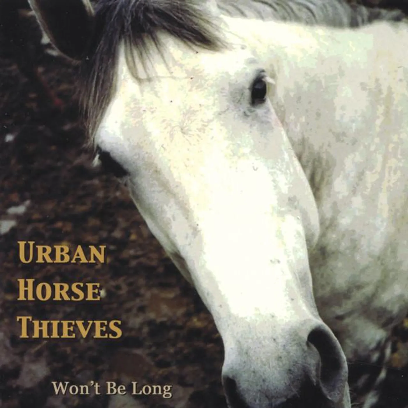 Urban Horse Thieves Brand Page