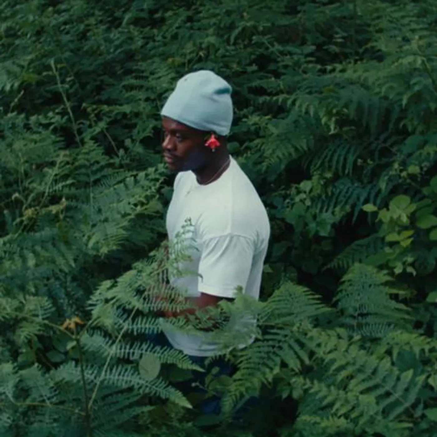 V.I.C Brand Page