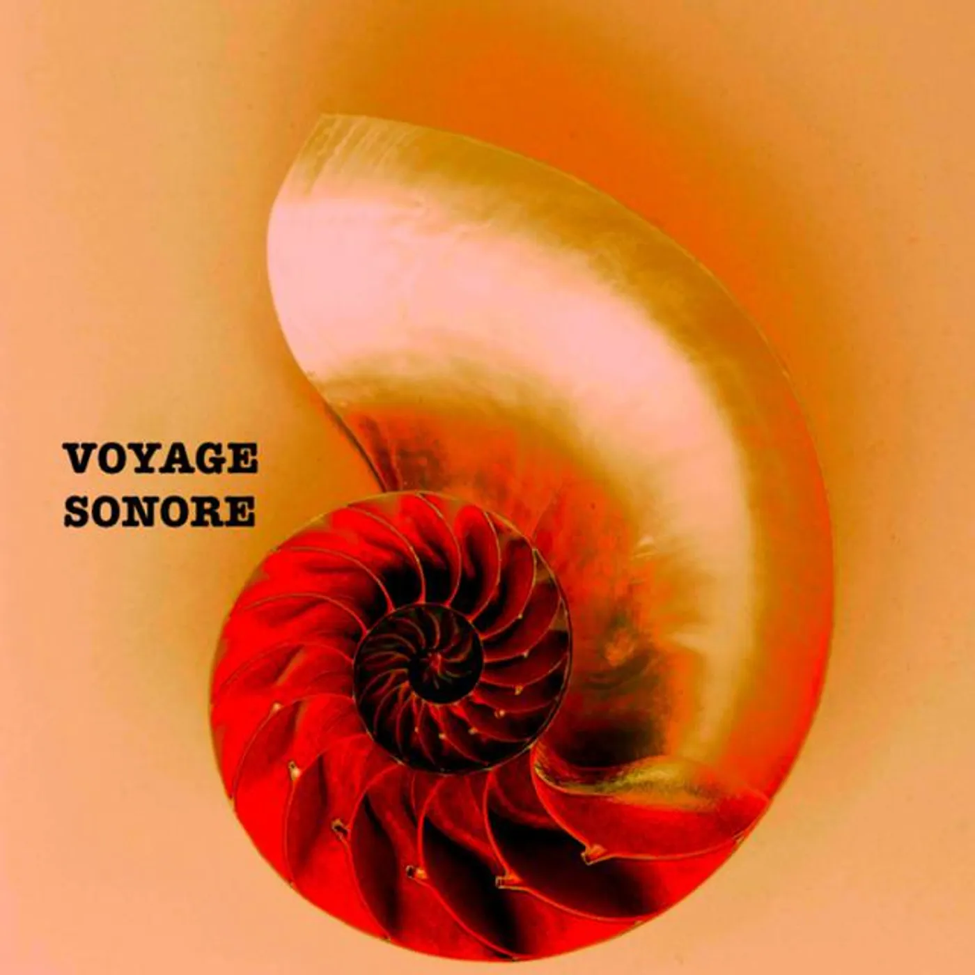 Voyage Sonore Brand Page