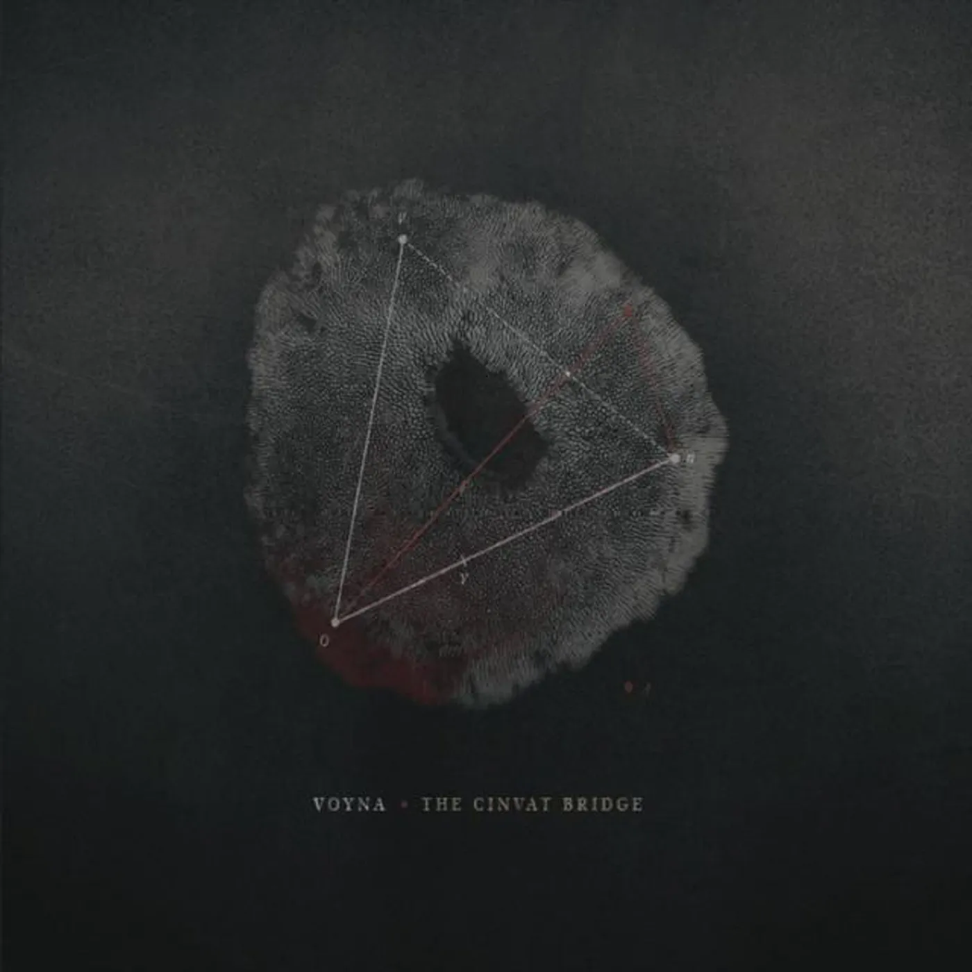 VOYNA Brand Page