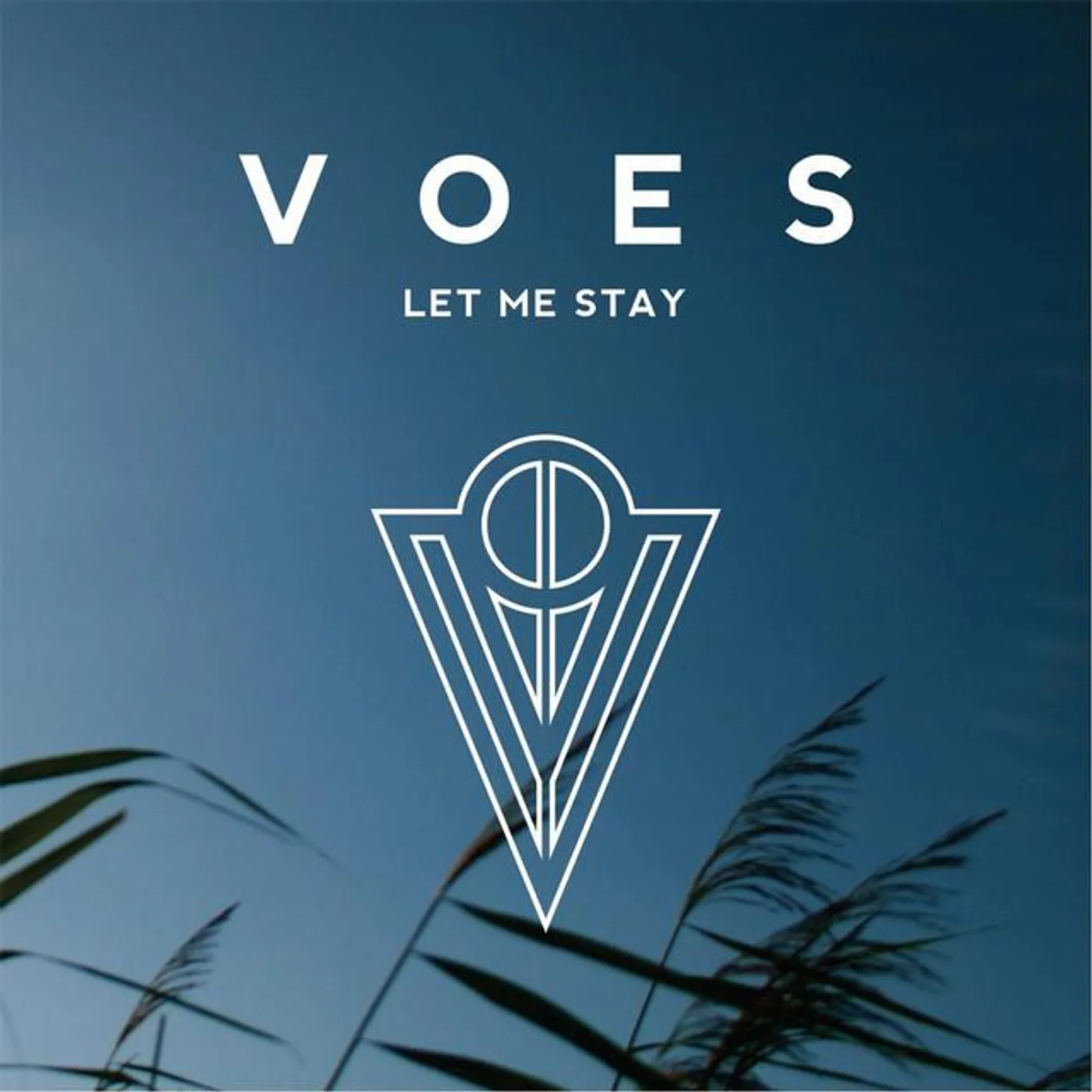 Voes