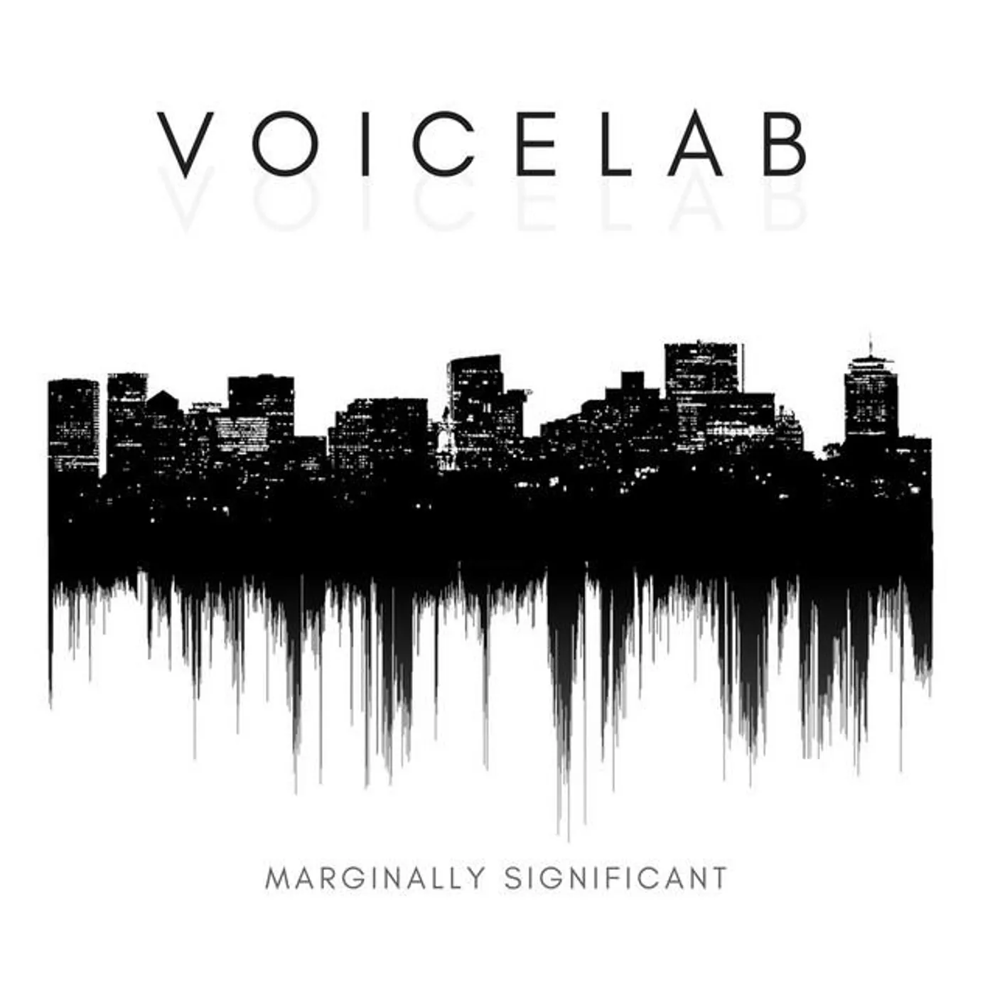 VoiceLab Brand Page