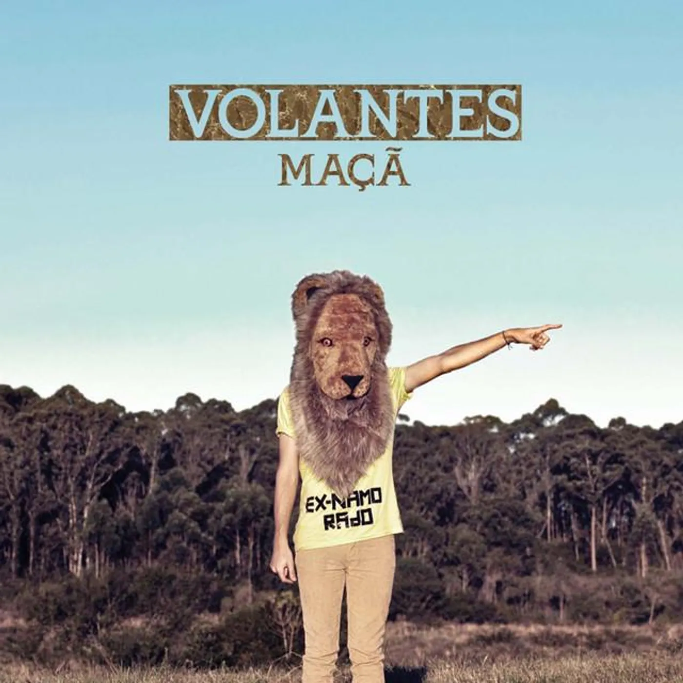Volantes