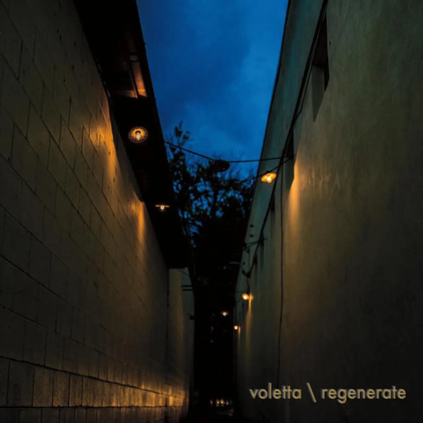 Voletta