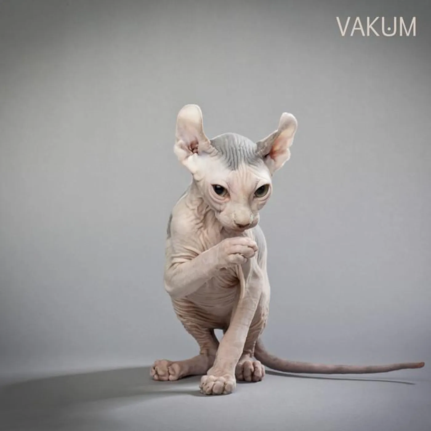 Vakum