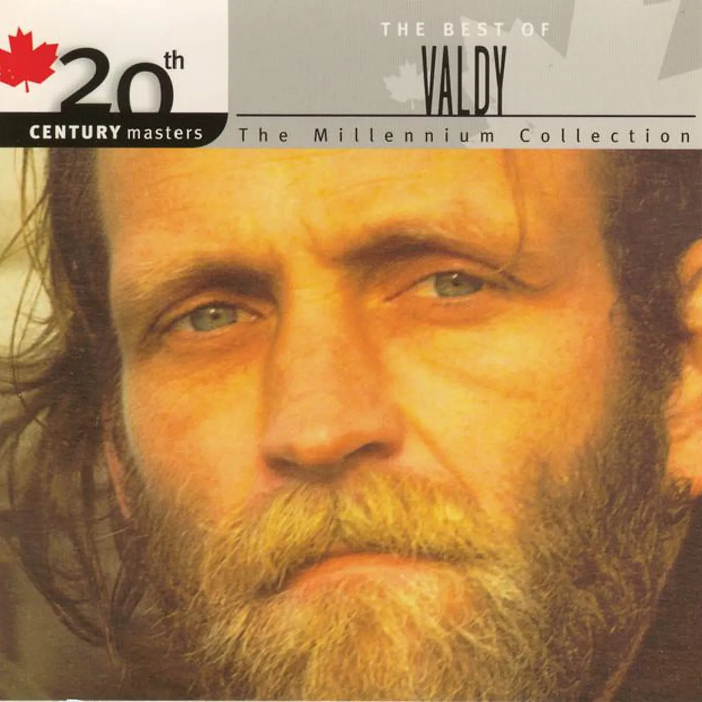 Valdy Brand Page