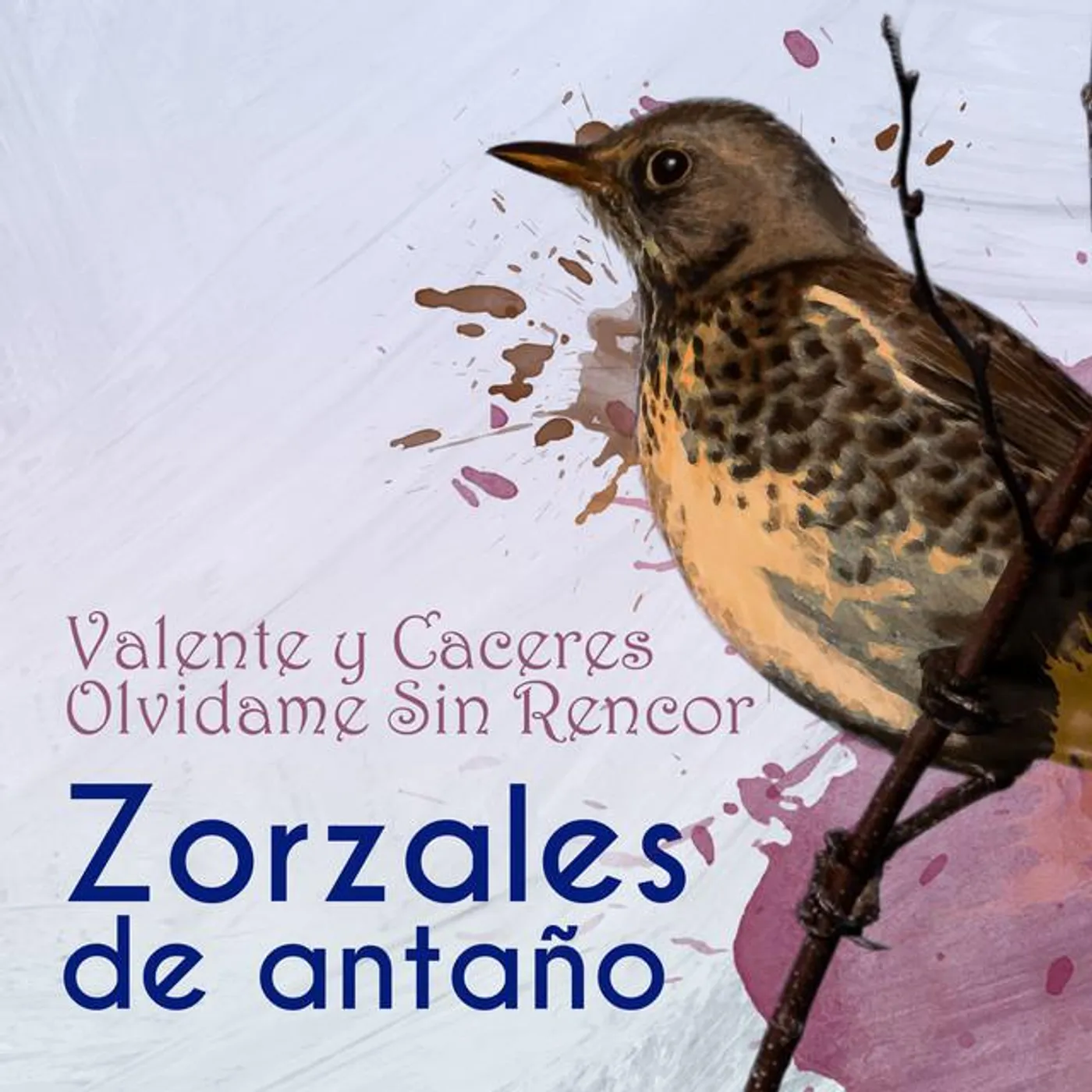 Valente y Cáceres